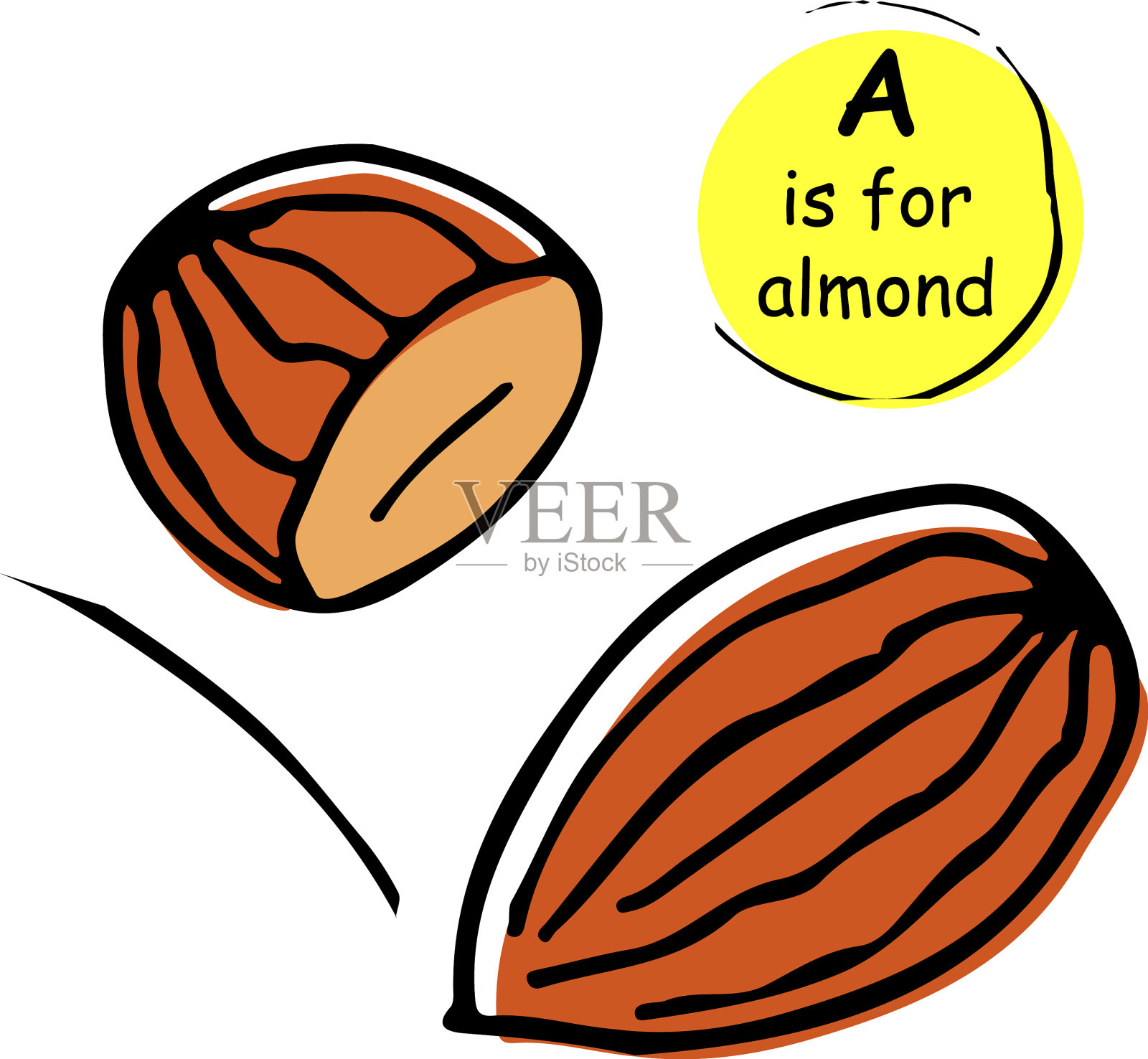 杏仁果仁设计元素图片