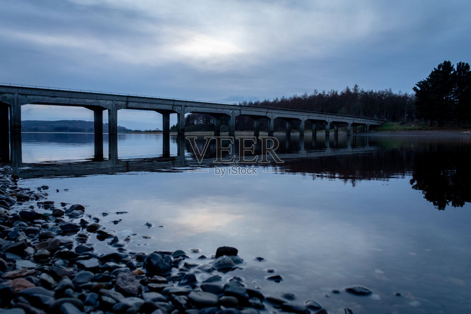 鳕鱼在海藻和海鞘周围游动,都柏林郡照片摄影图片