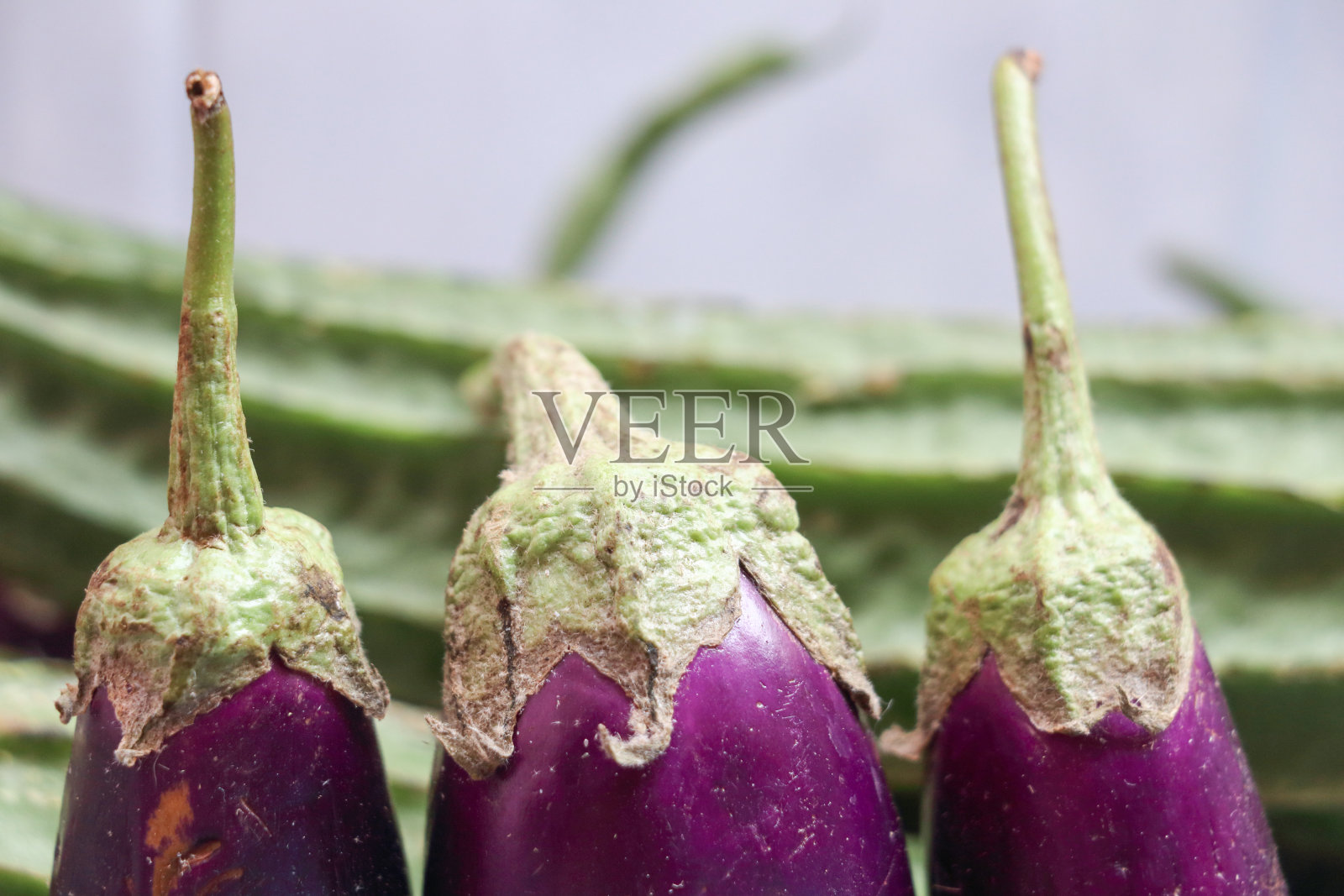 茄子照片摄影图片