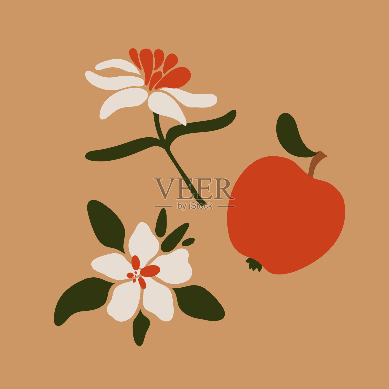 收集苹果果实和苹果树的花、叶。矢量插图。插画图片素材