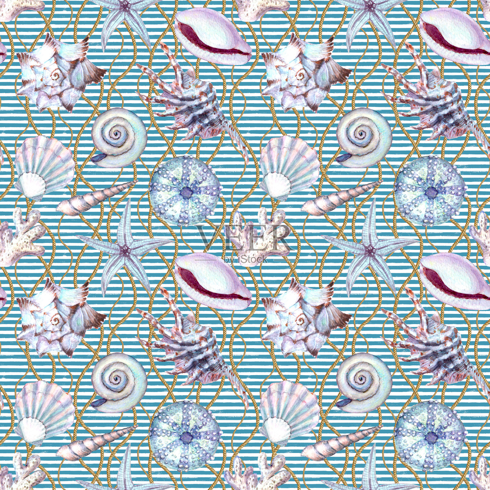 水彩海贝壳无缝图案。手绘贝壳纹理条纹海洋背景插画图片素材