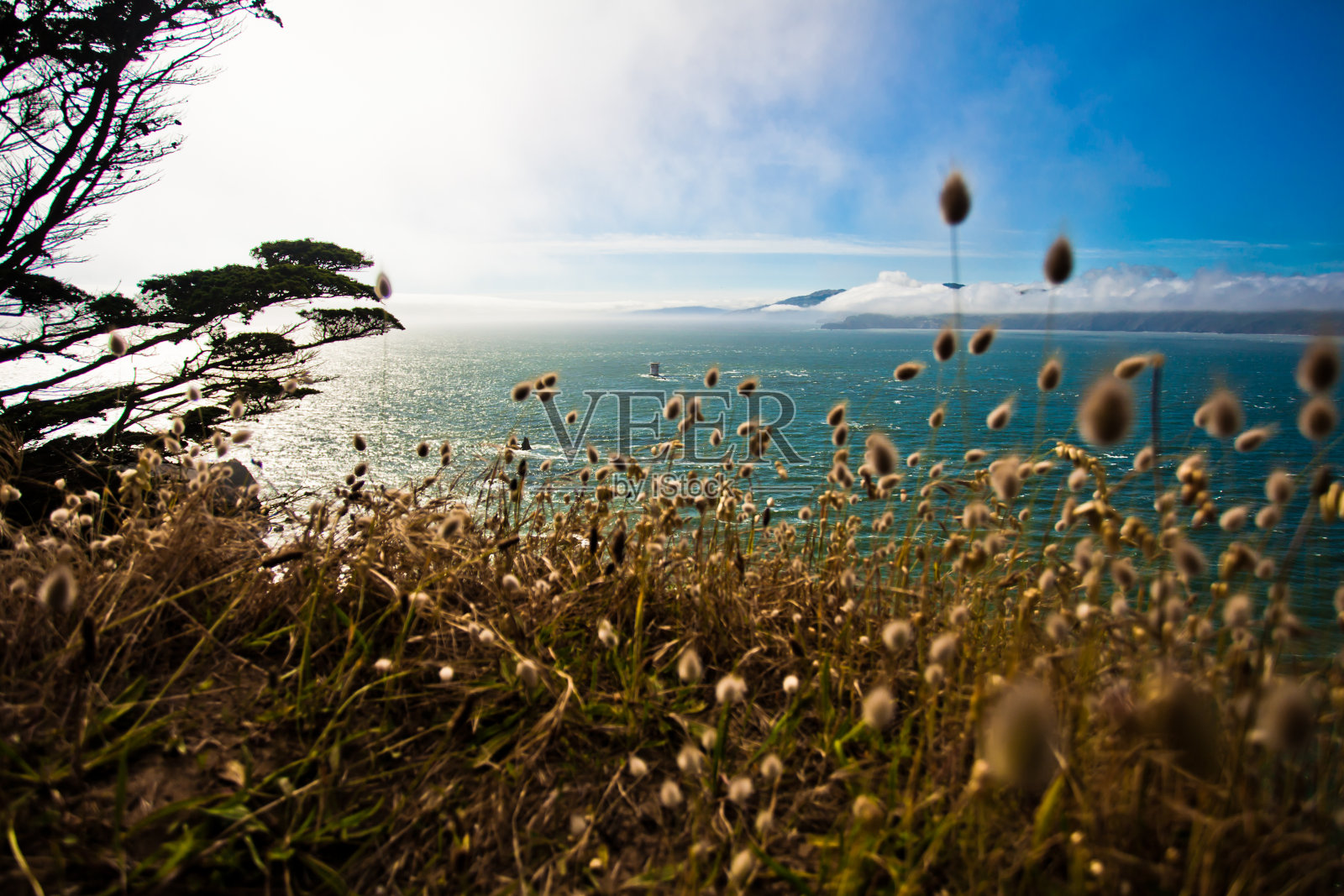 海滨照片摄影图片