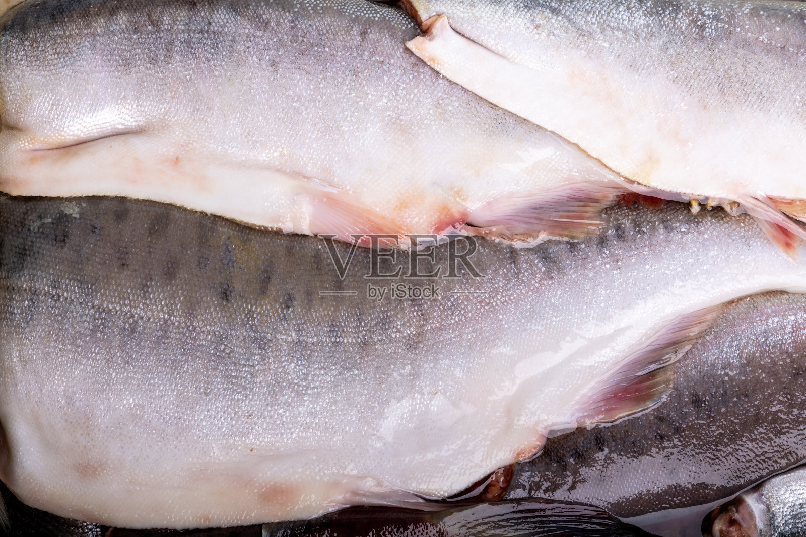 粉红色鲑鱼内脏皮肤纹理。鱼鳞彩色人造革背景,图案。照片摄影图片