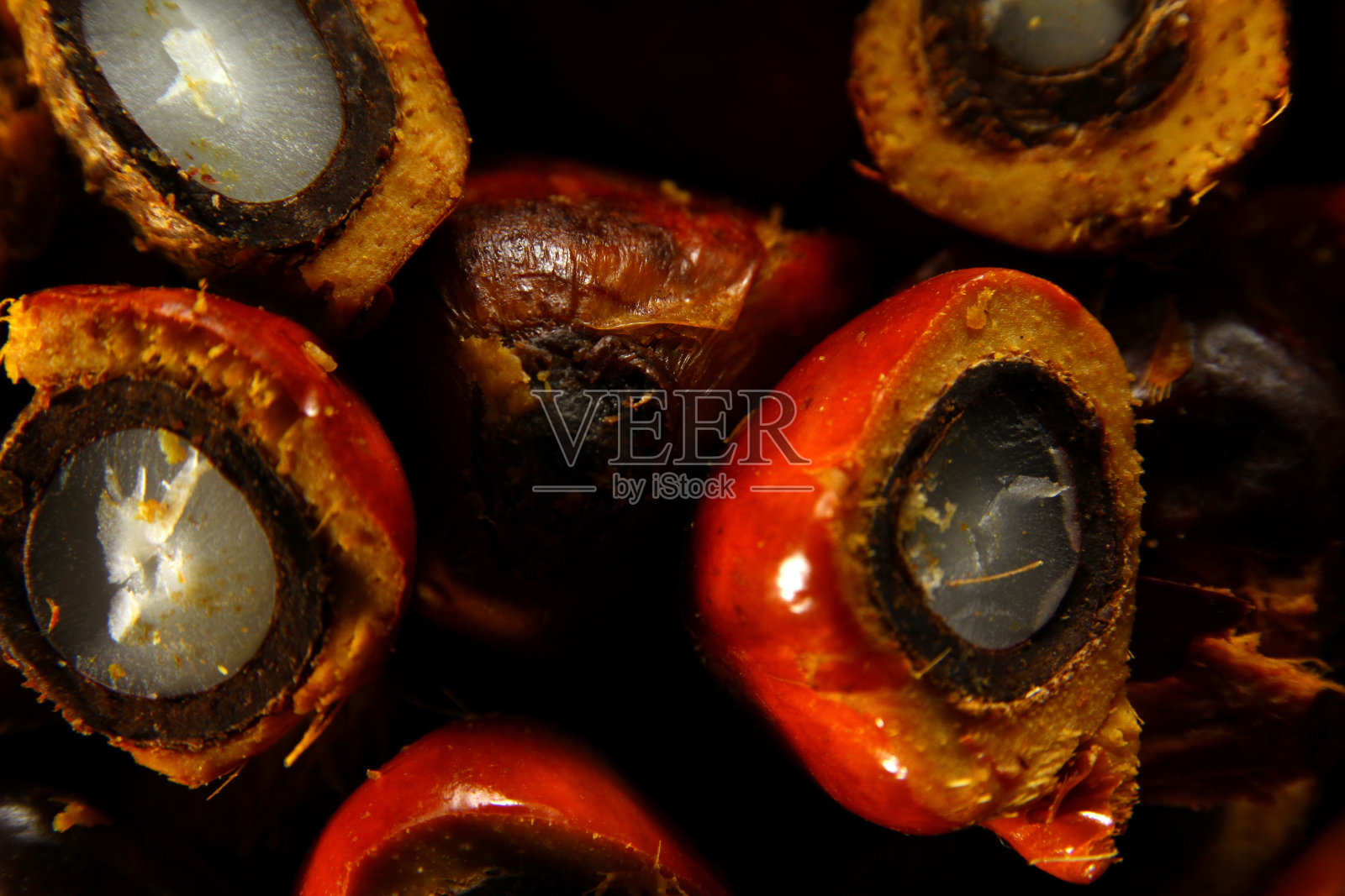 棕榈油的水果照片摄影图片