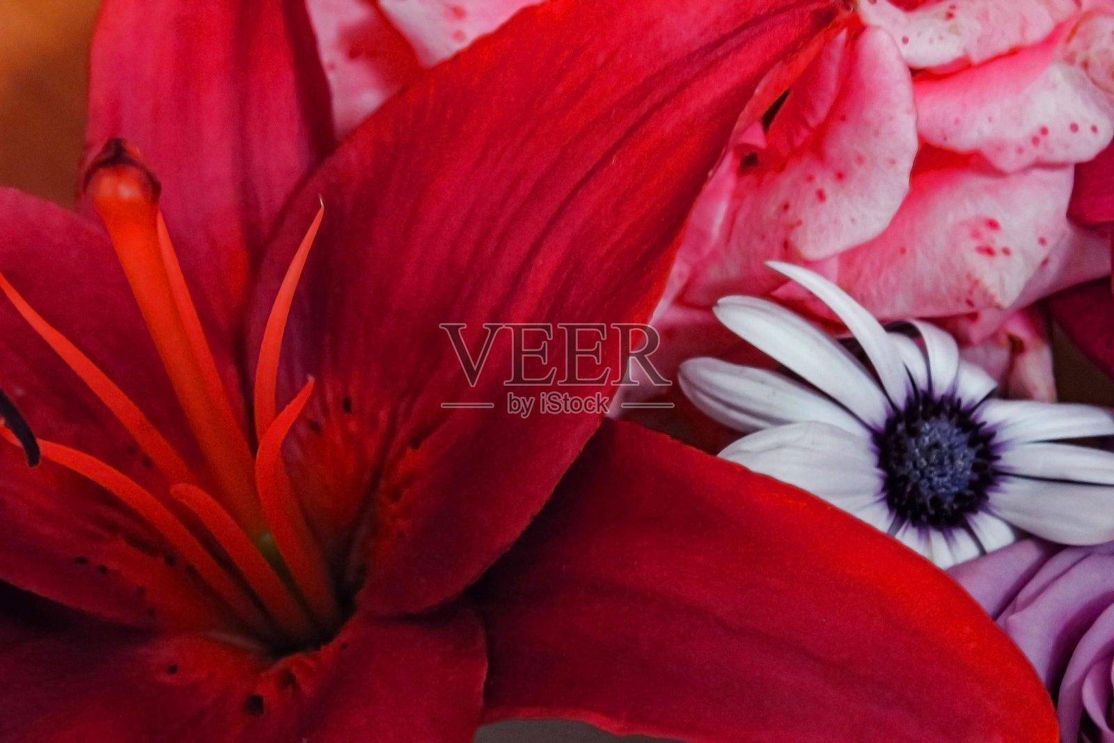 花照片摄影图片