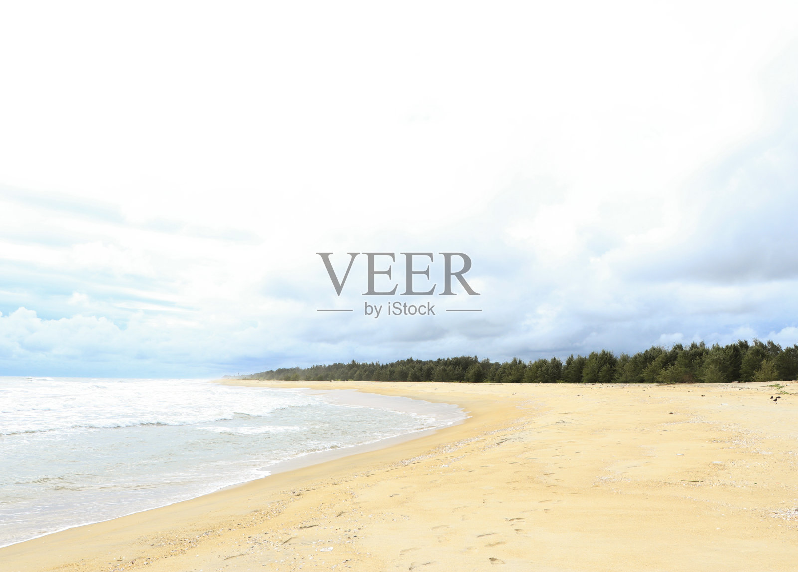 海滩,树木和云彩照片摄影图片