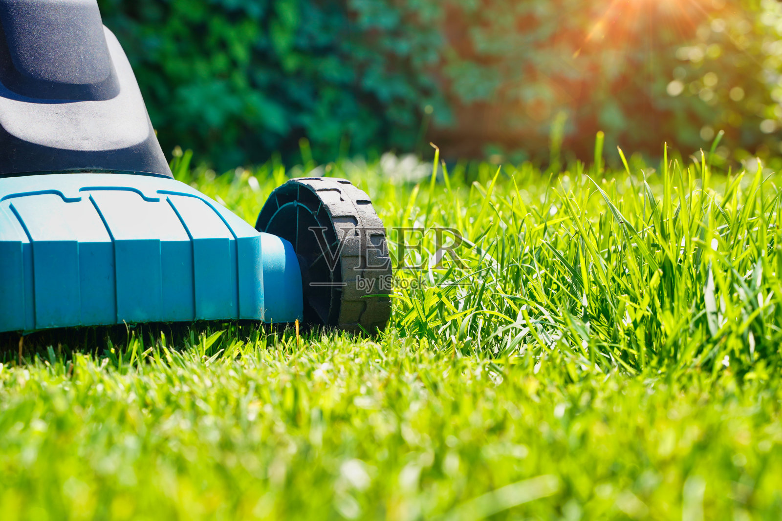 修剪草坪的电动割草机。割草坪照片摄影图片