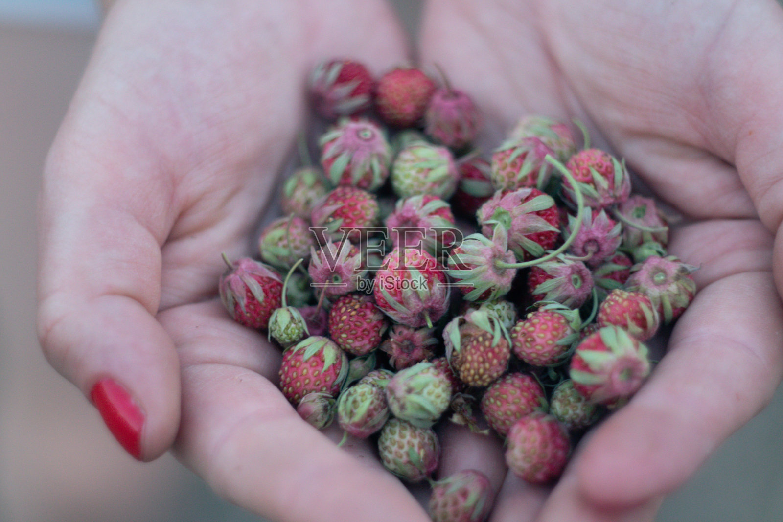 一个女人手里拿着草莓照片摄影图片