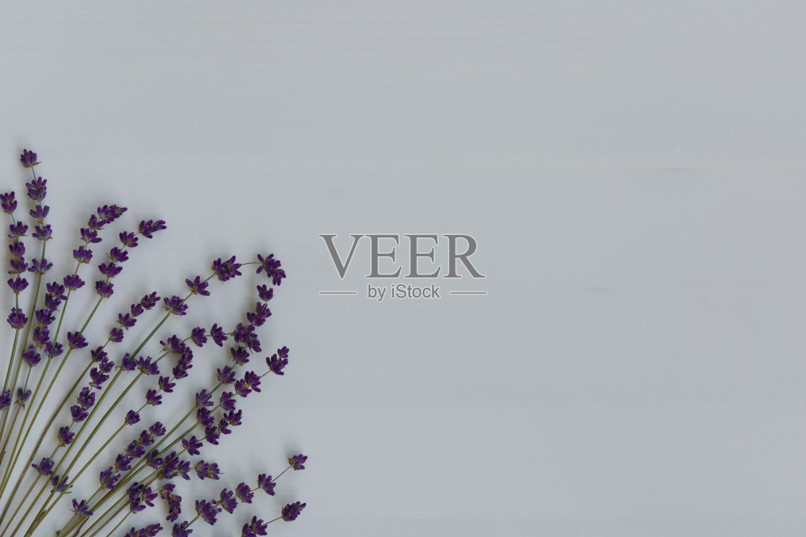 白色木桌背景上的薰衣草花,俯视图照片摄影图片