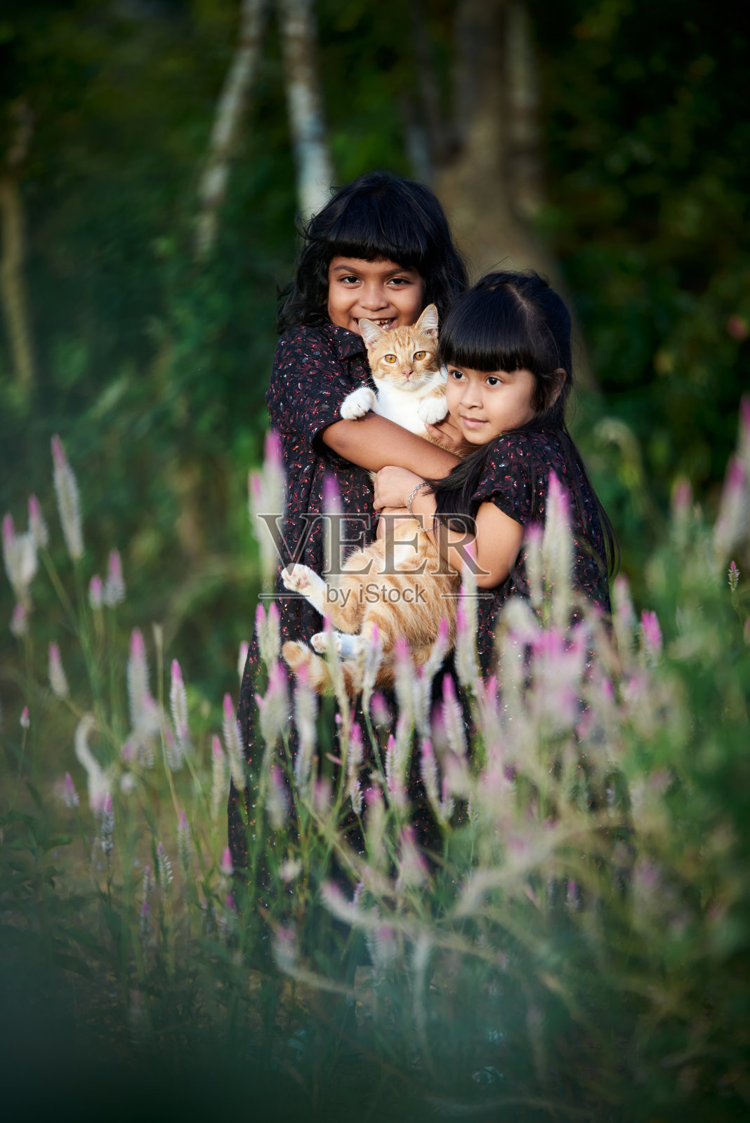 在一个阳光明媚的日子里,两个可爱的小女孩在公园里和小猫玩耍照片摄影图片