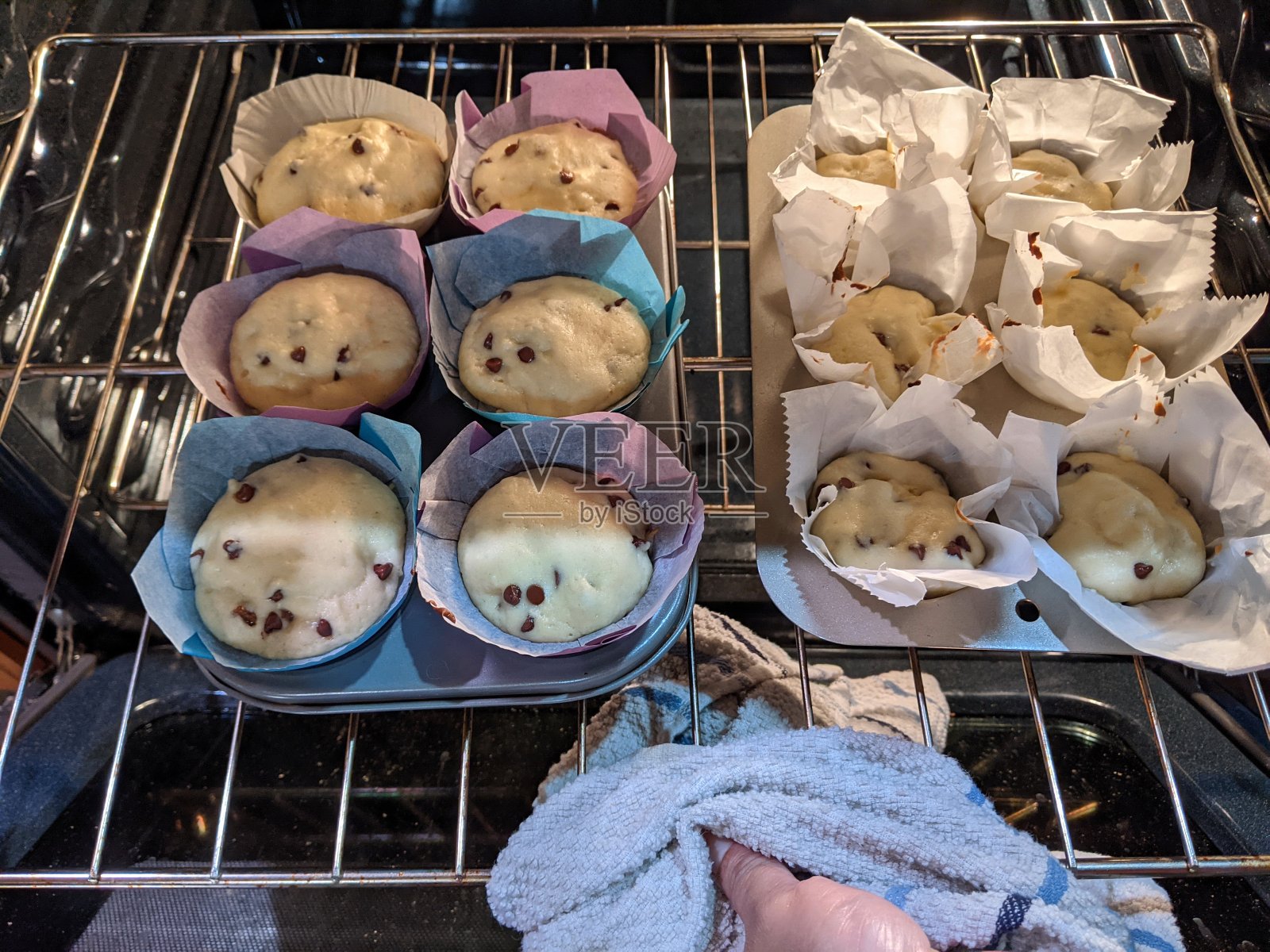 枣子和巧克力松饼刚出炉照片摄影图片