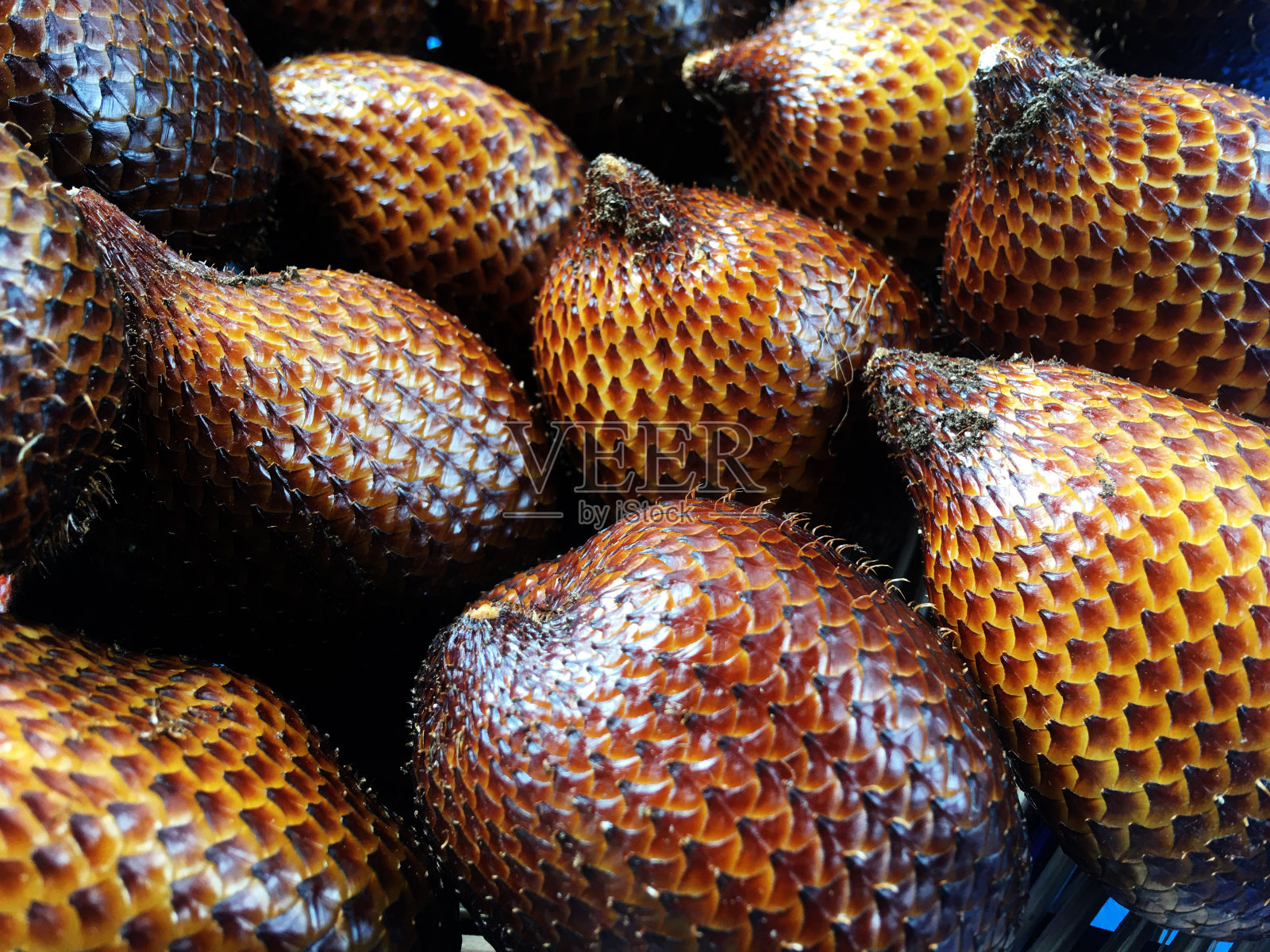 蛇的水果照片摄影图片