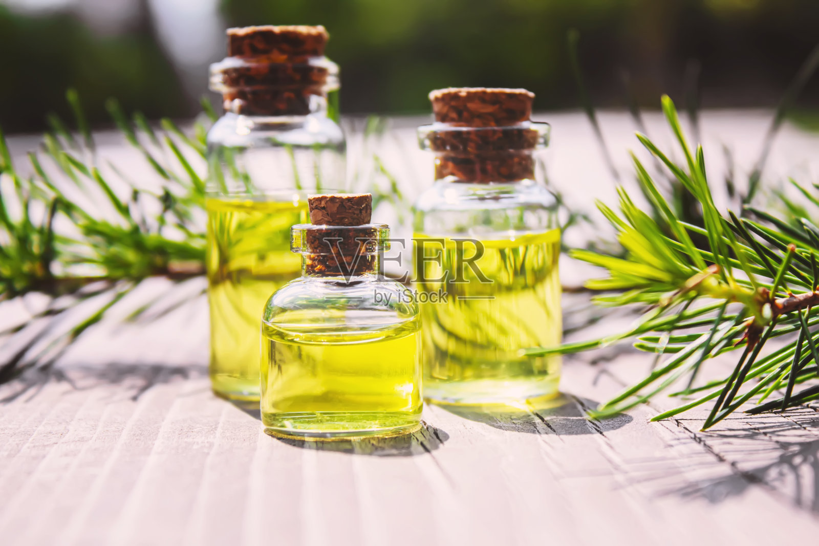 杉树精油小瓶。有选择性的重点照片摄影图片