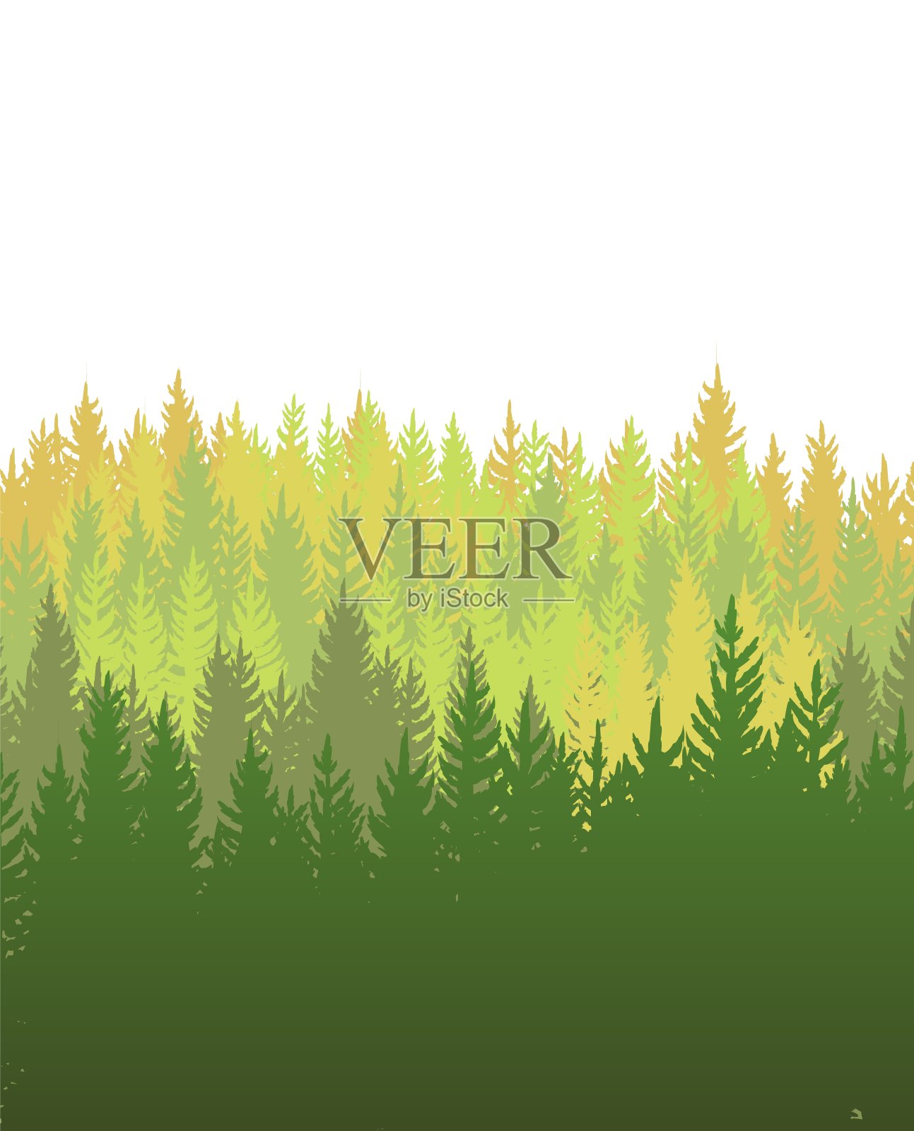 森林的背景。轮廓全景。景观树。松柏。美丽的景色。孤立。夏天的场景。说明向量插画图片素材