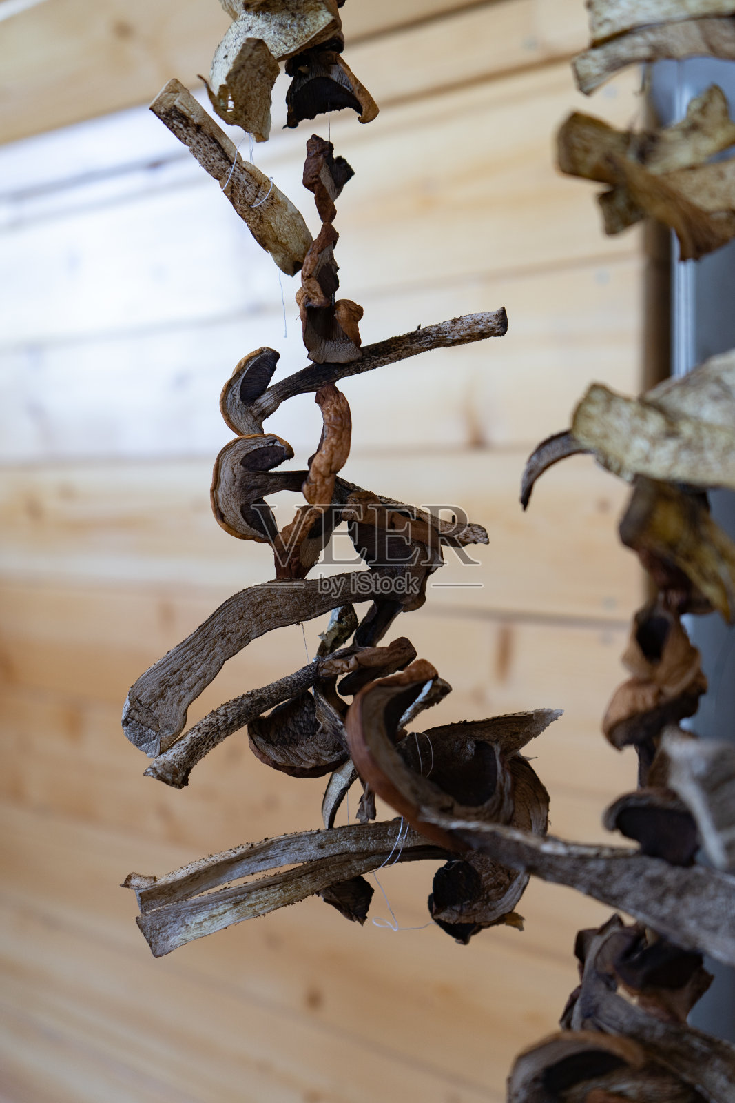 挂在绳子上的干蘑菇。照片摄影图片