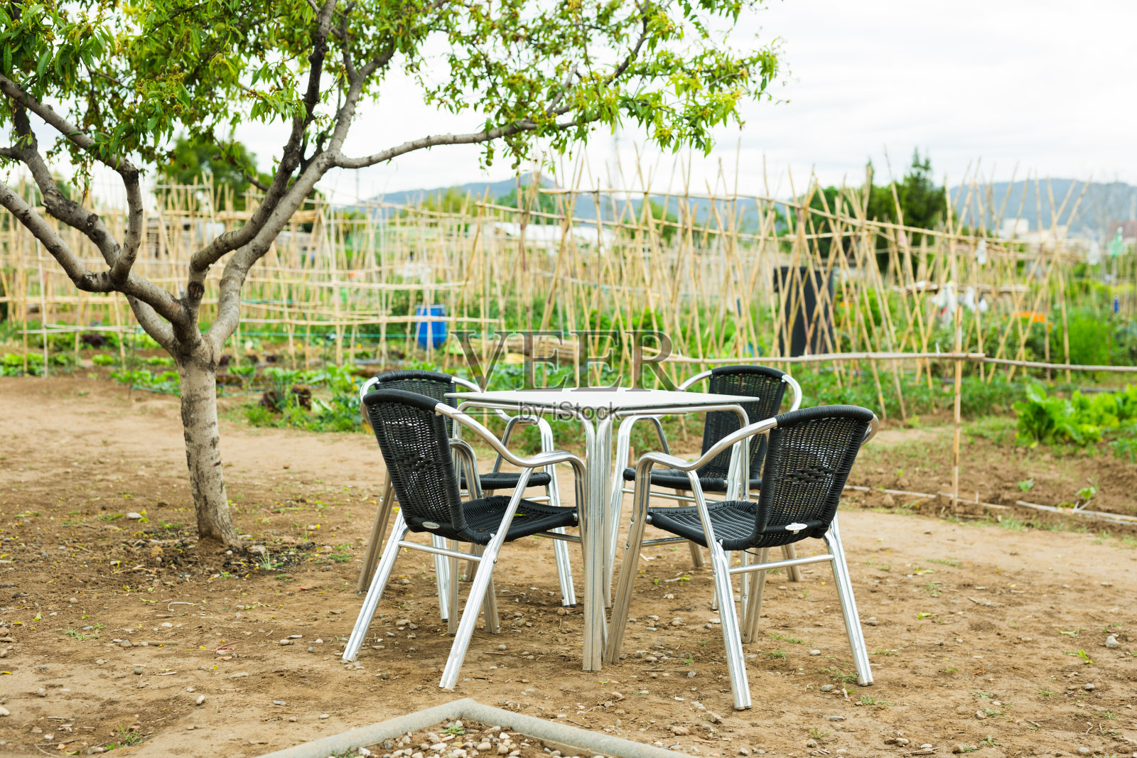 桌子和四把椅子在花园里在夏天的一天照片摄影图片