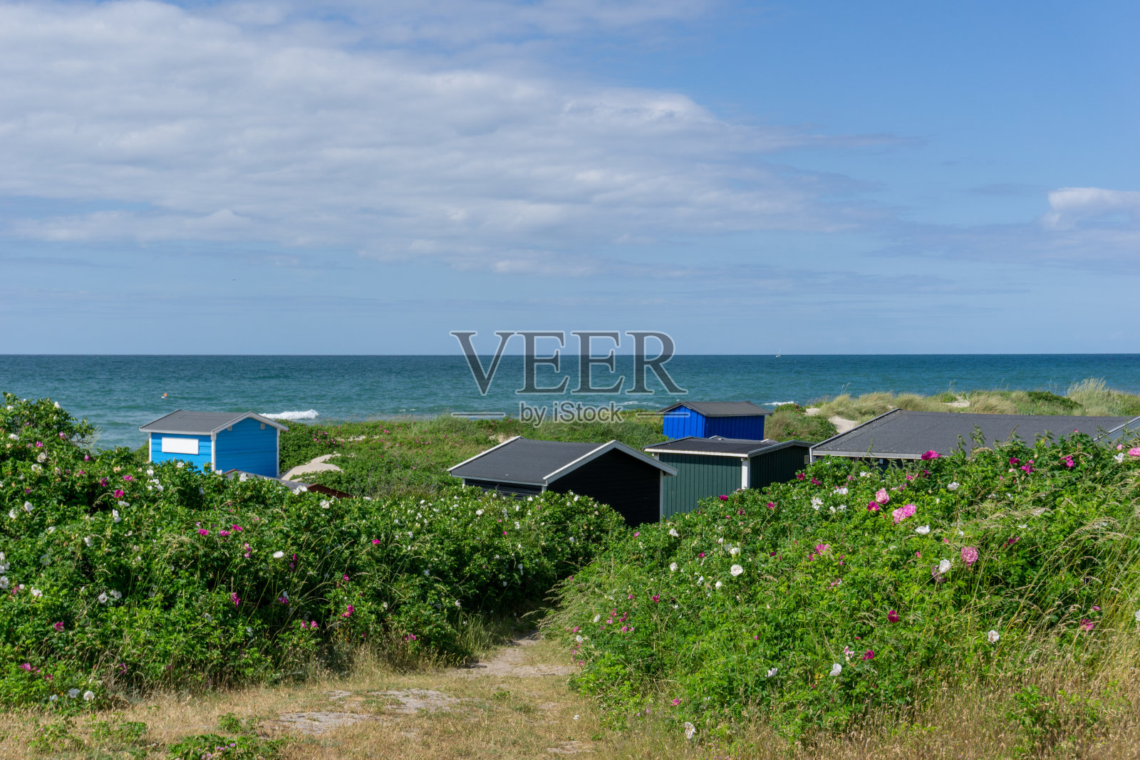 色彩斑斓的小木屋隐藏在芦苇和沙丘中,在丹麦的北西兰照片摄影图片