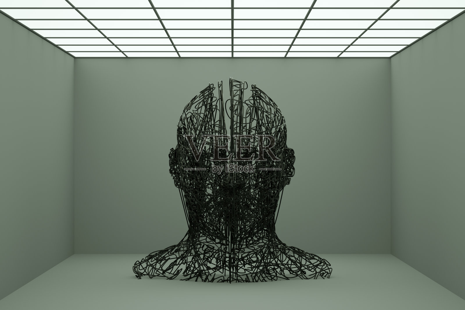 3D Wired Shape Cyborg Head,人工智能概念照片摄影图片
