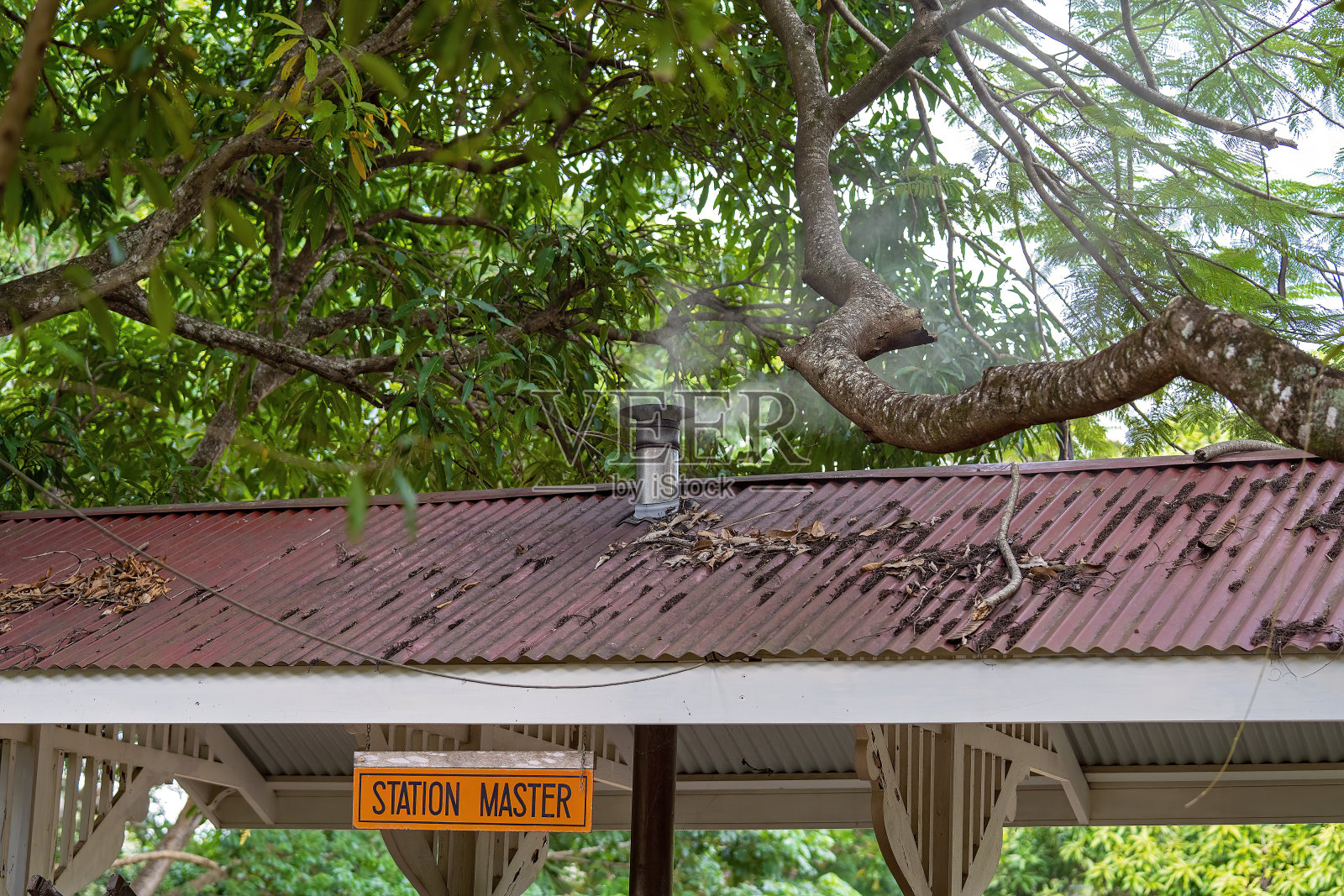 披萨烤箱照片摄影图片
