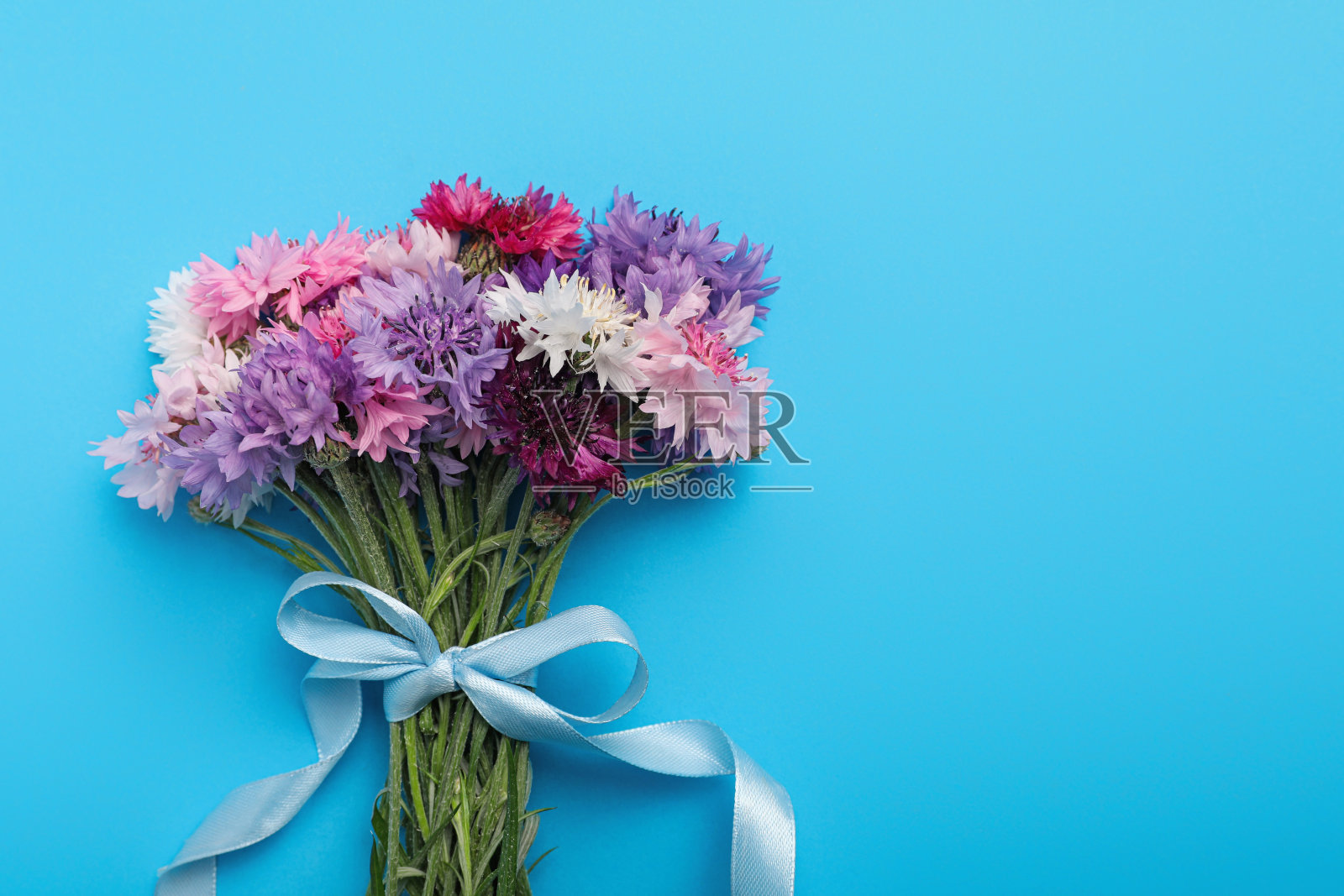 一束美丽的矢车菊在浅蓝色的背景,俯视图。空间的文本照片摄影图片