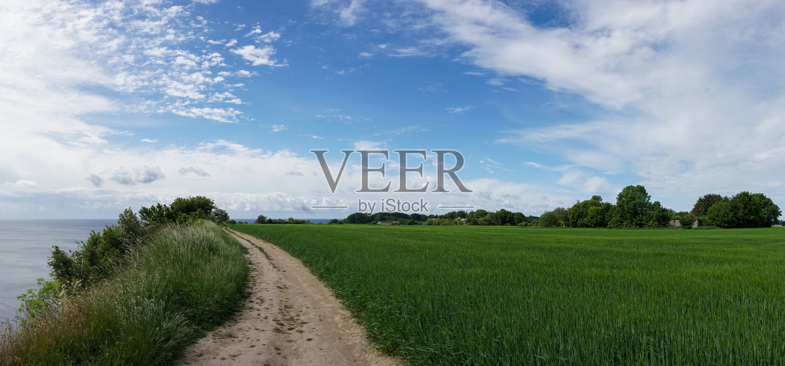 砾石路穿过绿色麦田,海岸悬崖陡峭入水全景照片摄影图片