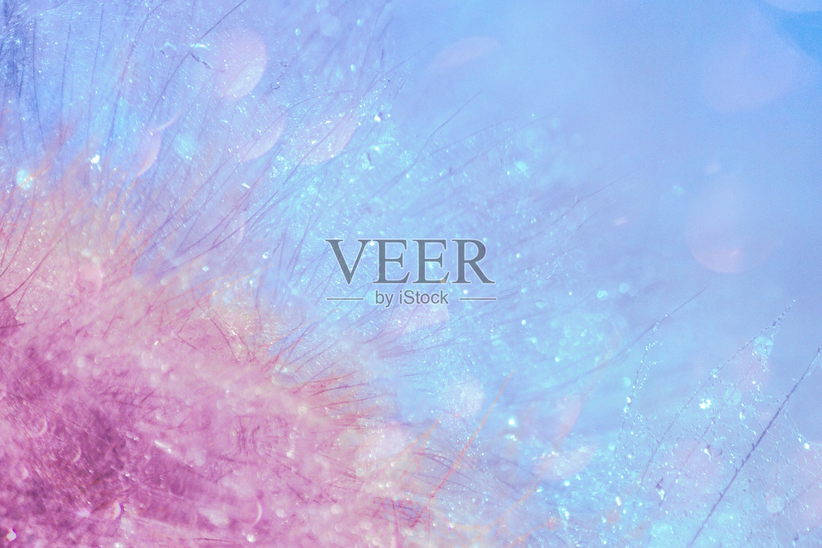 抽象的自然背景与散焦高光。模糊的水下世界。软的焦点。照片摄影图片