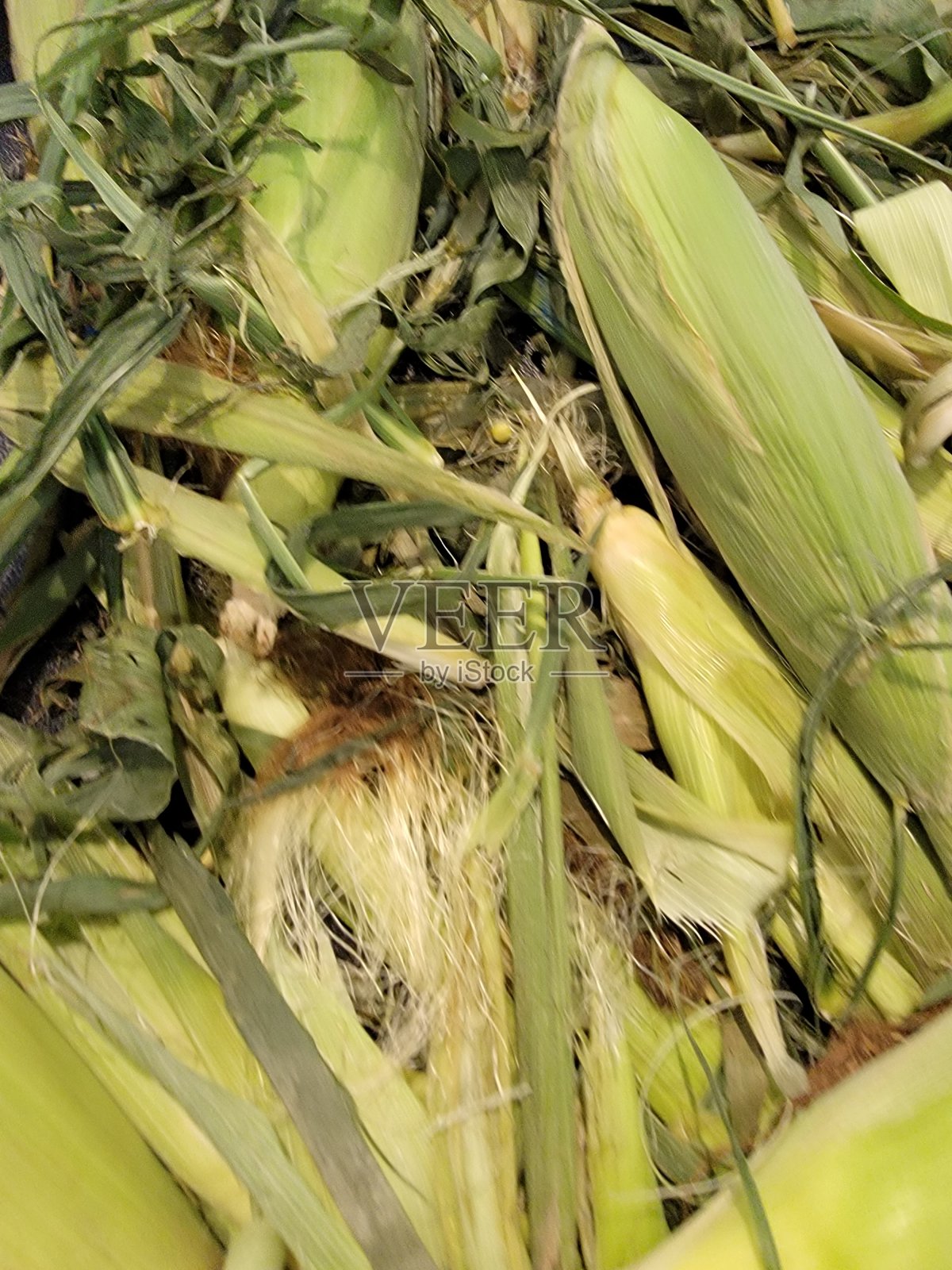 玉米照片摄影图片