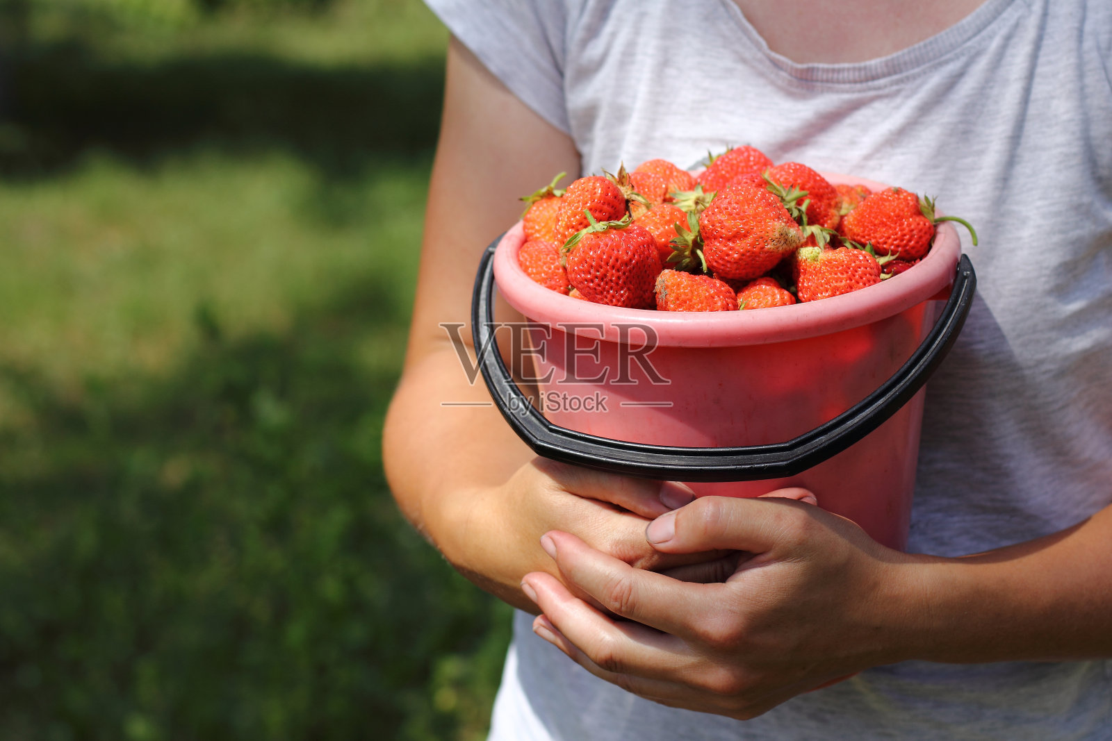 大夏天的甜点照片摄影图片