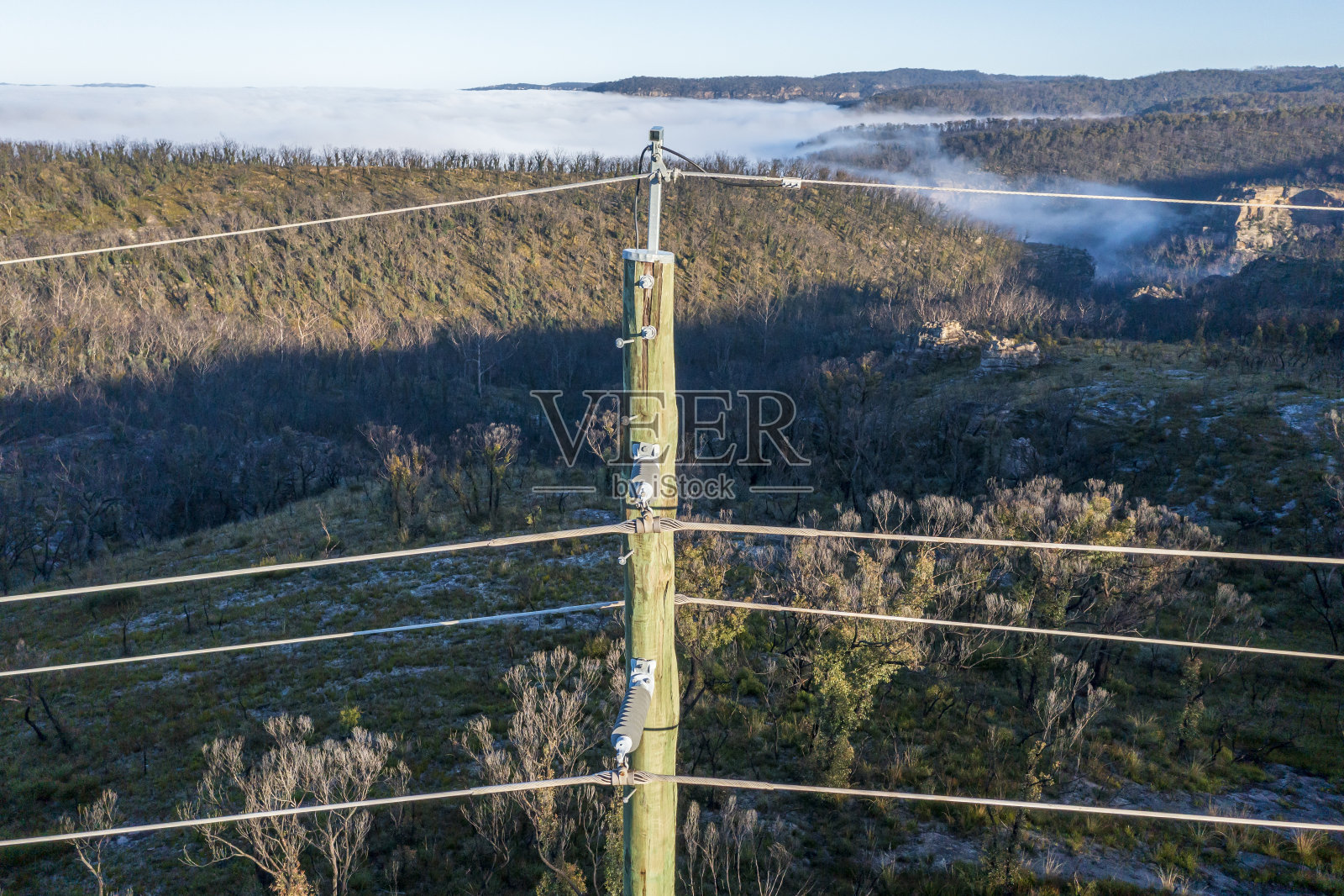 无人机航拍的受森林大火影响的电线杆和电线照片摄影图片
