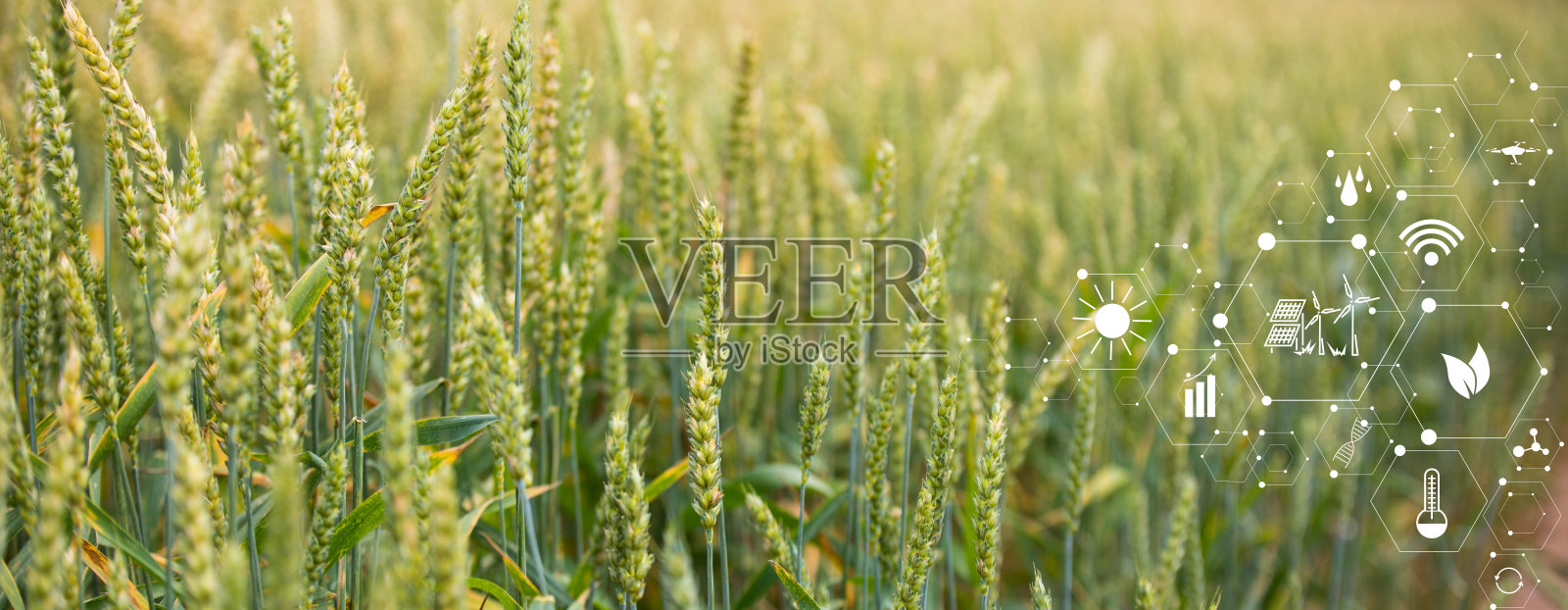 智慧农业理念与现代科技照片摄影图片