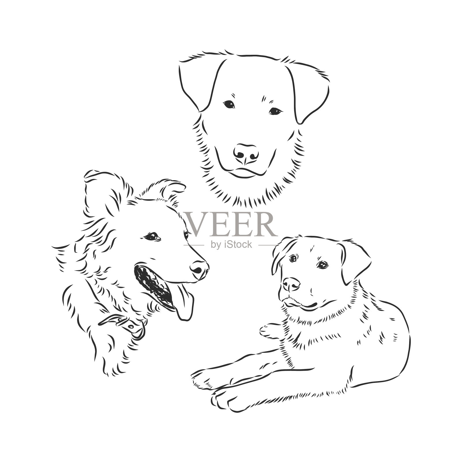 素描滑稽的狗肖像狗素描插画图片素材