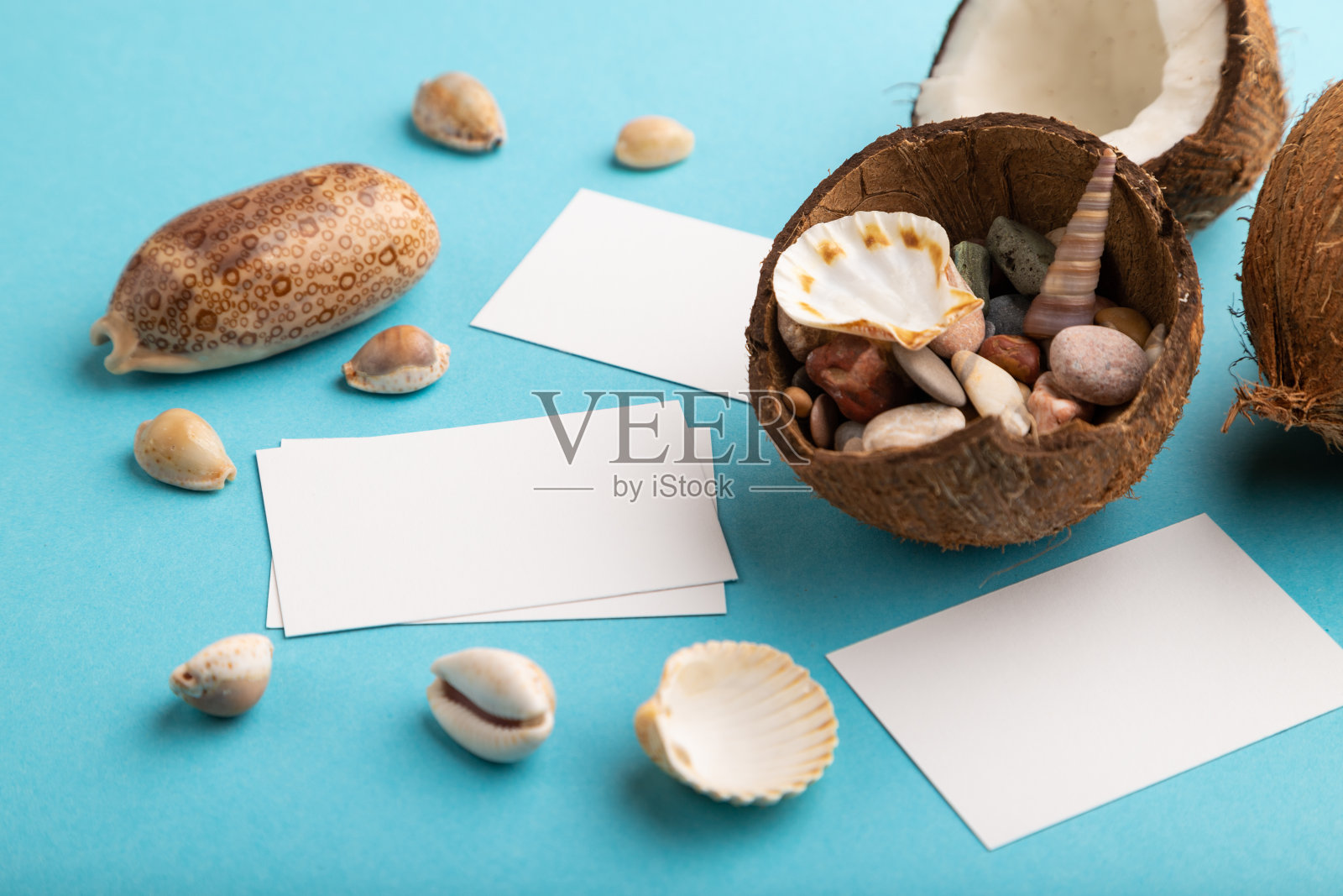 白色的纸名片与椰子和贝壳在蓝色柔和的背景。侧视图,拷贝空间。热带、健康食品、度假、度假概念。照片摄影图片