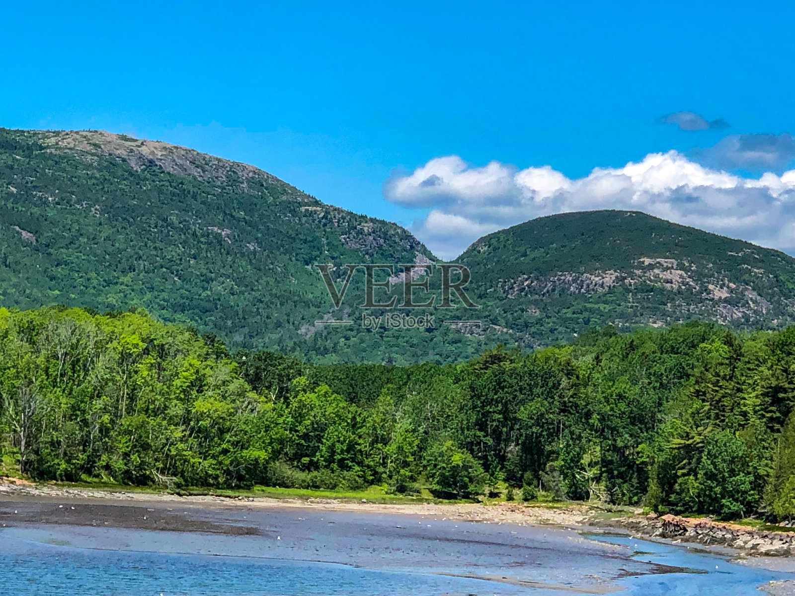 缅因州阿卡迪亚国家公园美丽的绿色山脉照片摄影图片