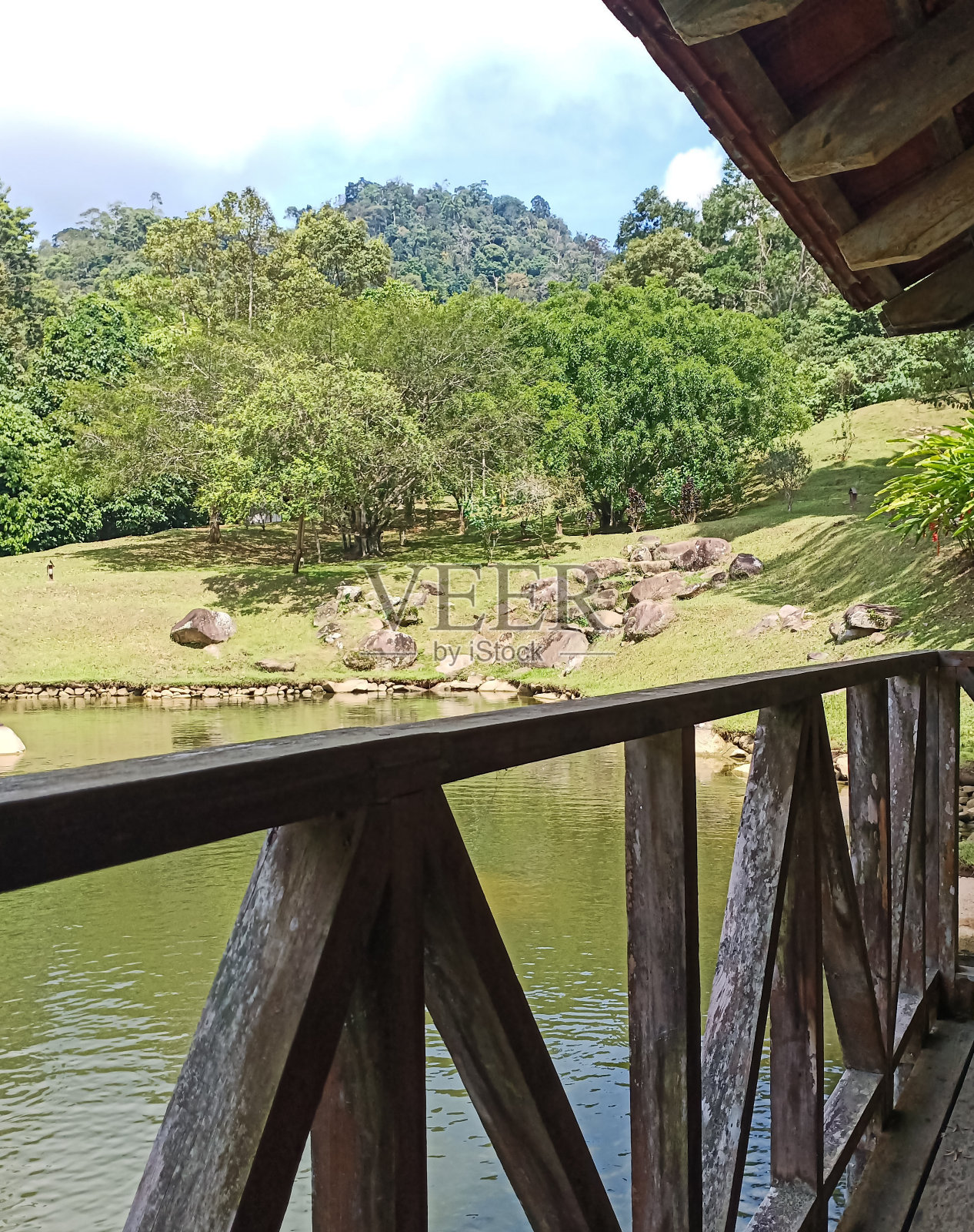 暑假照片摄影图片