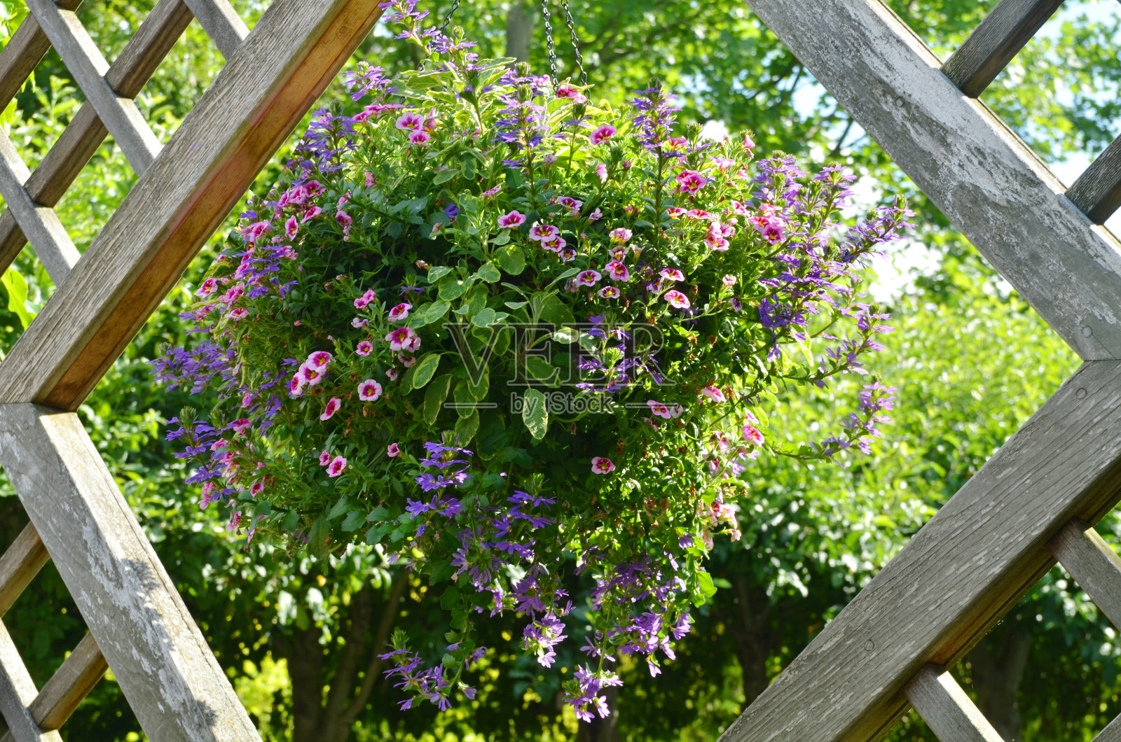 一个木制篱笆的花园照片摄影图片