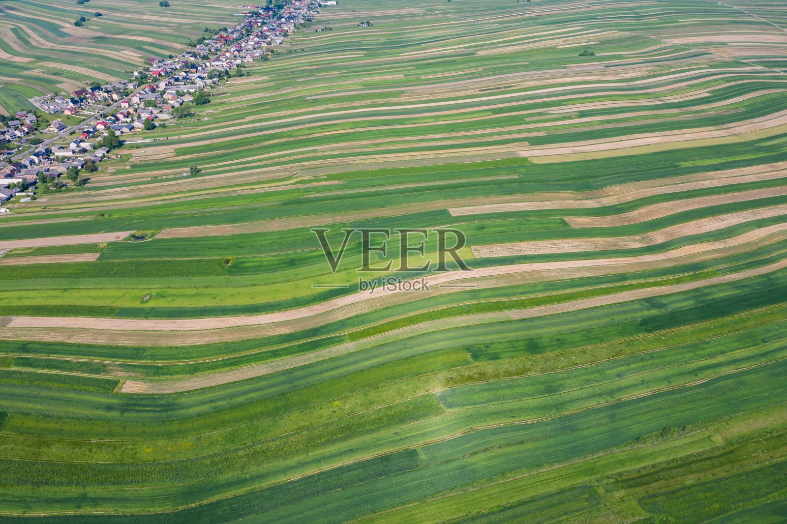 从无人机鸟瞰村庄。波兰南部,小波兰vovodeship克拉科夫县的苏洛绍瓦村。波兰美丽的村庄,有房子和田地。照片摄影图片