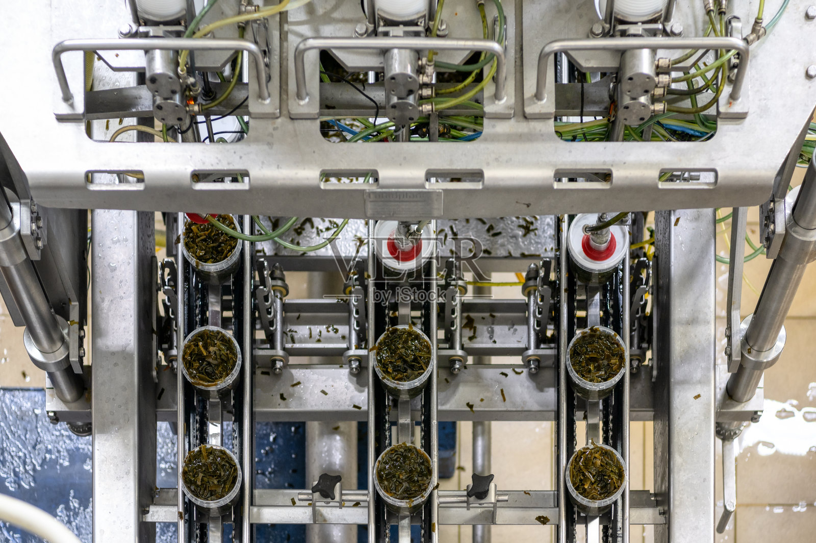 塑料罐里的海藻沙拉放在传送带上。海产品包装自动线照片摄影图片