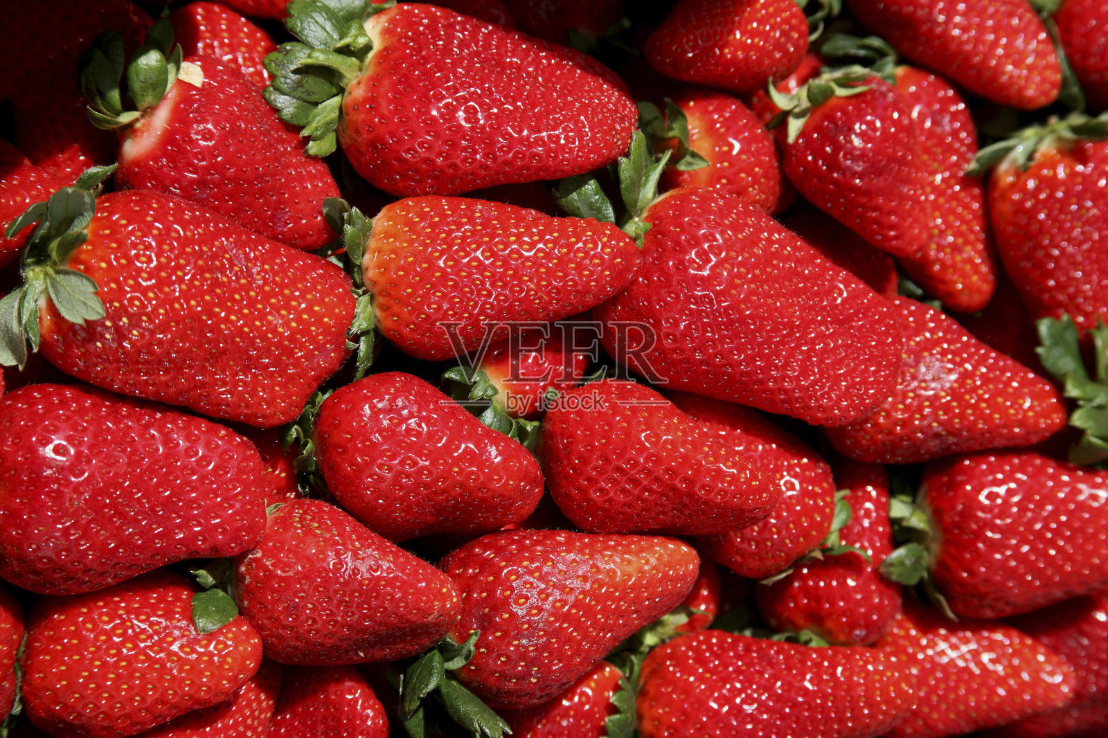 成熟的草莓照片摄影图片