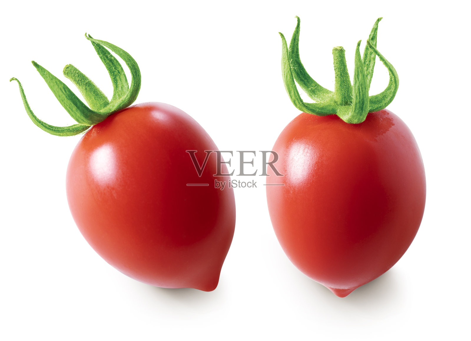 白色上分离的番茄。照片摄影图片