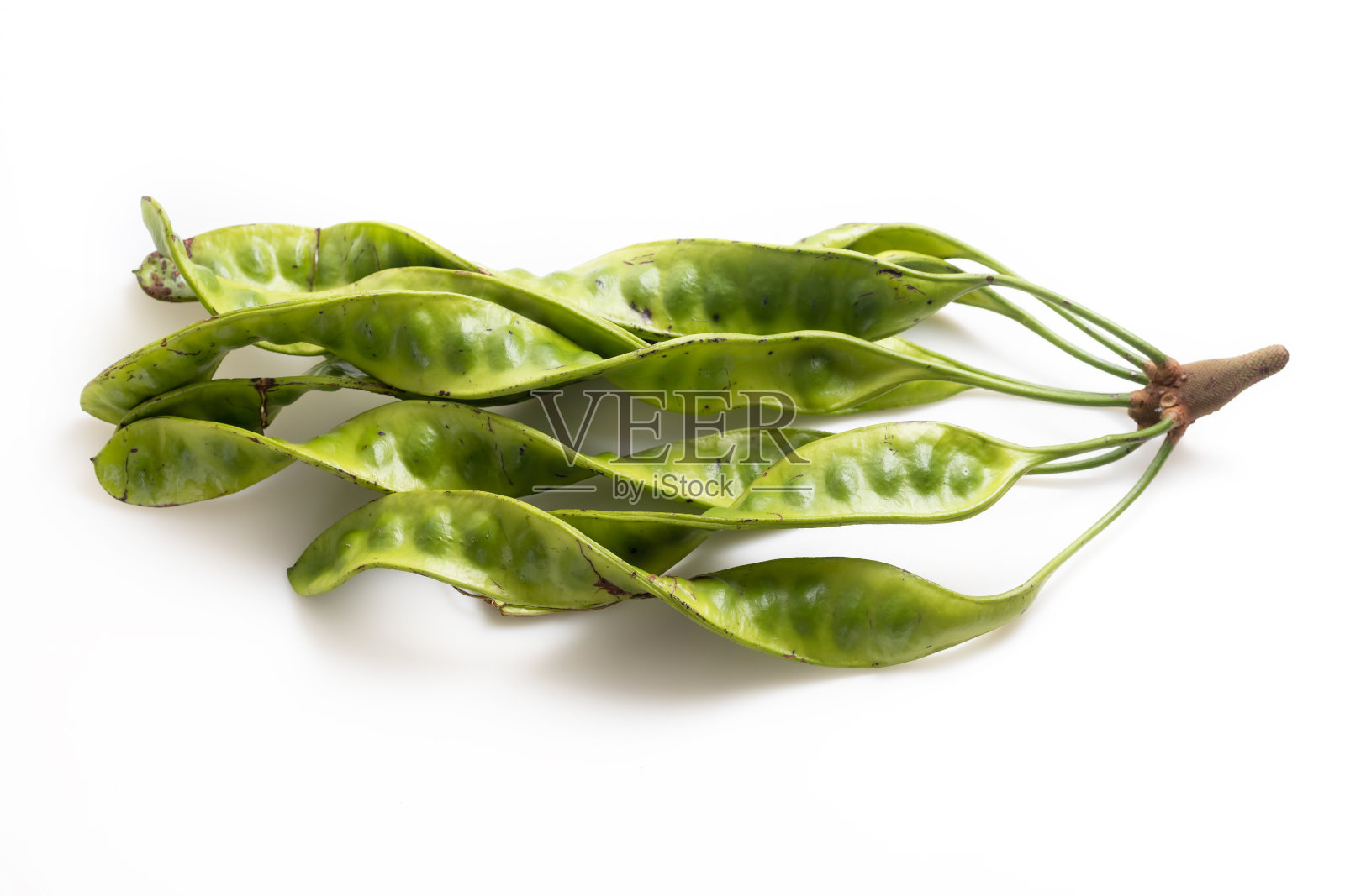 苦豆,花瓣或臭豆孤立在白色背景上。照片摄影图片