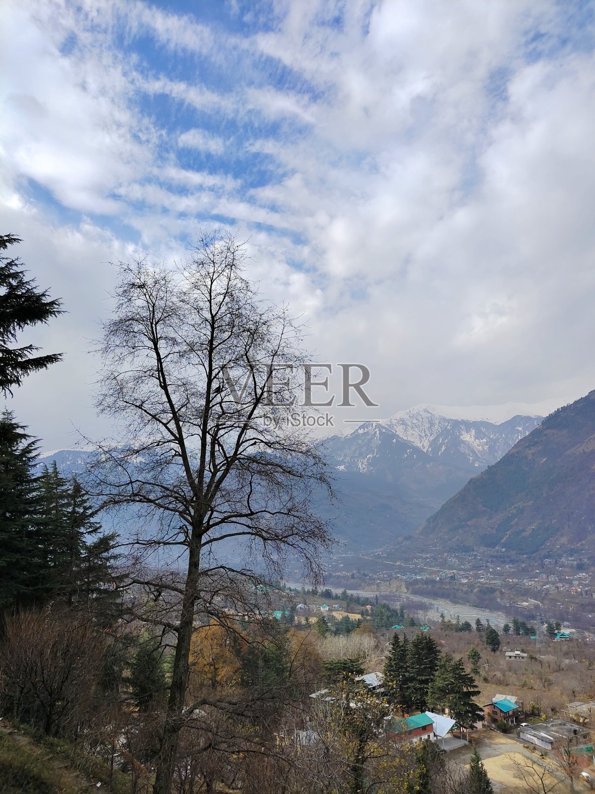 美丽的绿色林间空地与背景树在山上与雨云。自然背景。照片摄影图片