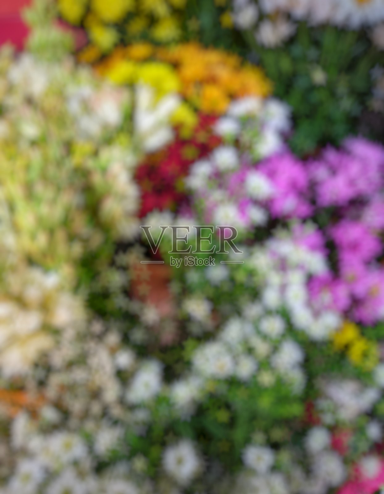 花的模糊背景照片摄影图片