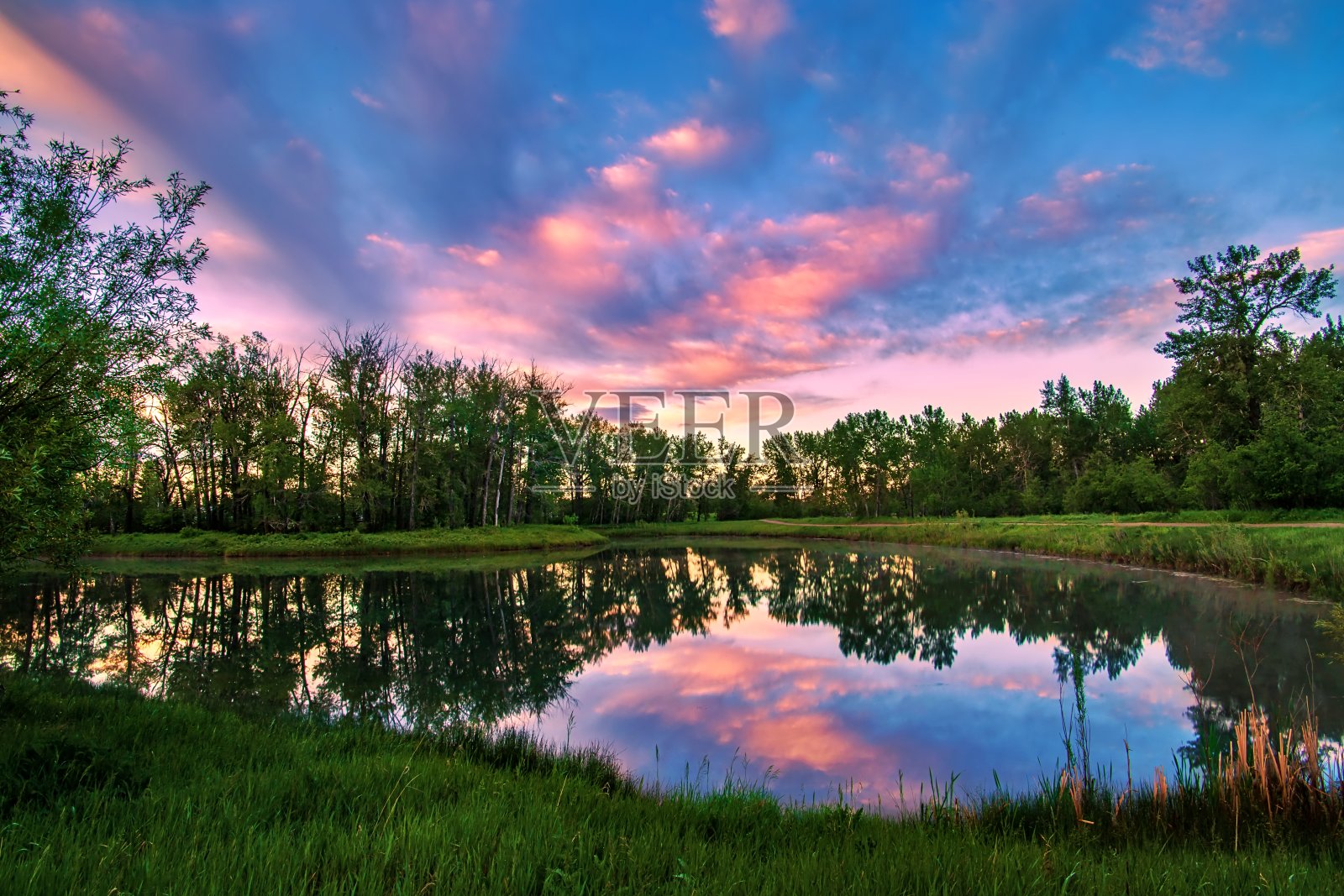 夏日公园湖面上的日出天空照片摄影图片