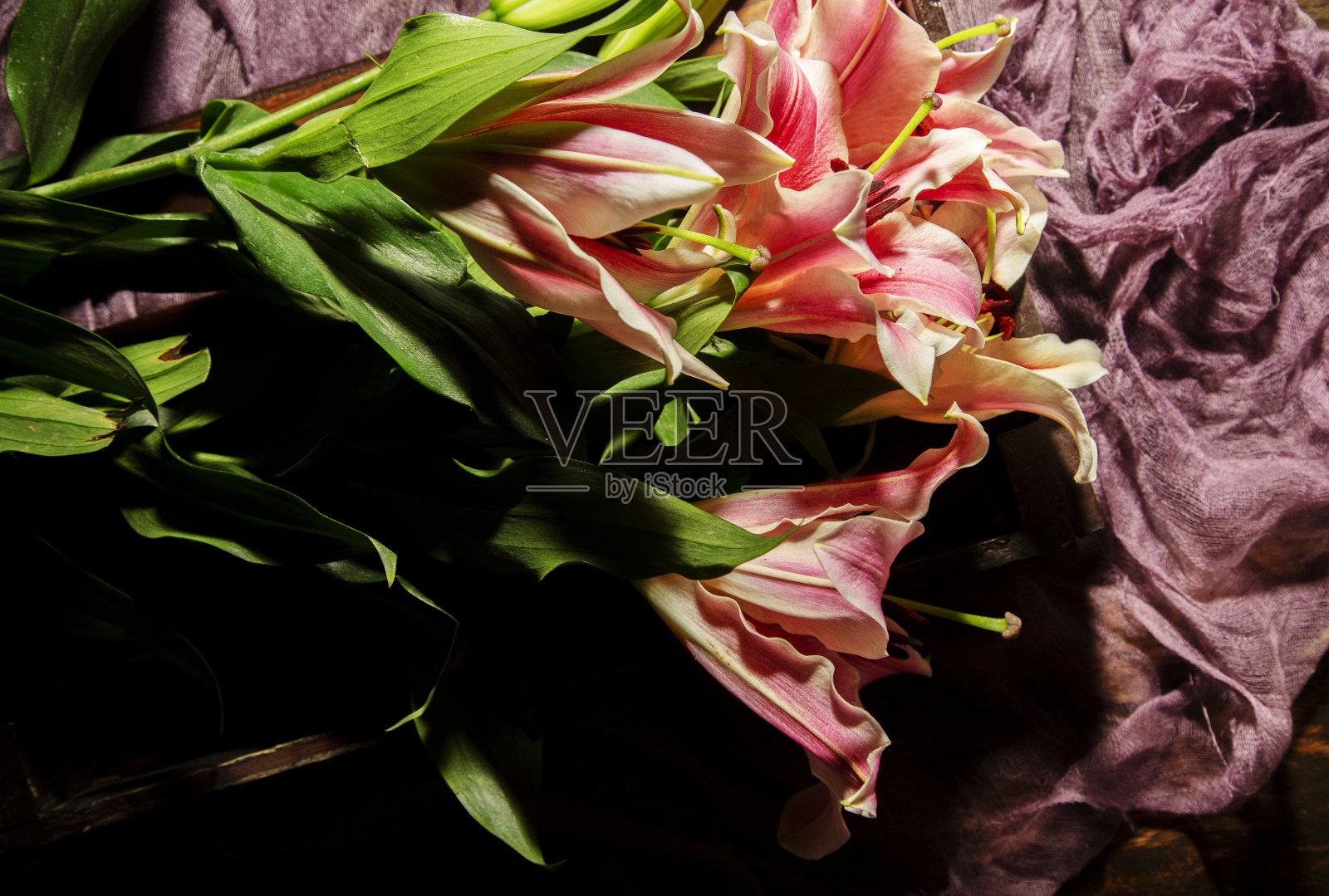 百合花在丝绸桌布上照片摄影图片