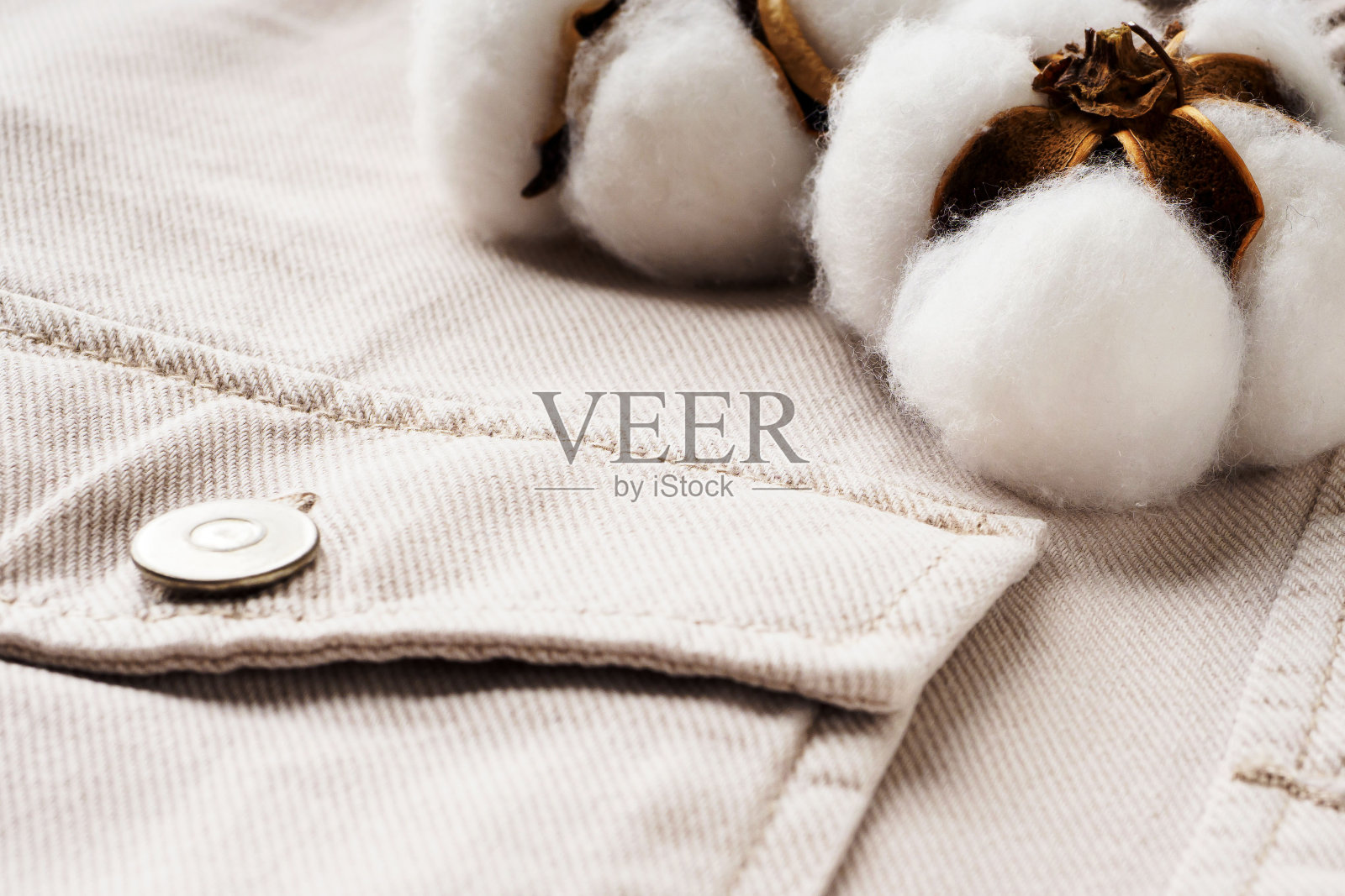 米色牛仔衬衫和棉花花接近,平铺,俯视图。天然耐用的棉织物概念。舒适的休闲服装背景。用回收材料制成的织物照片摄影图片