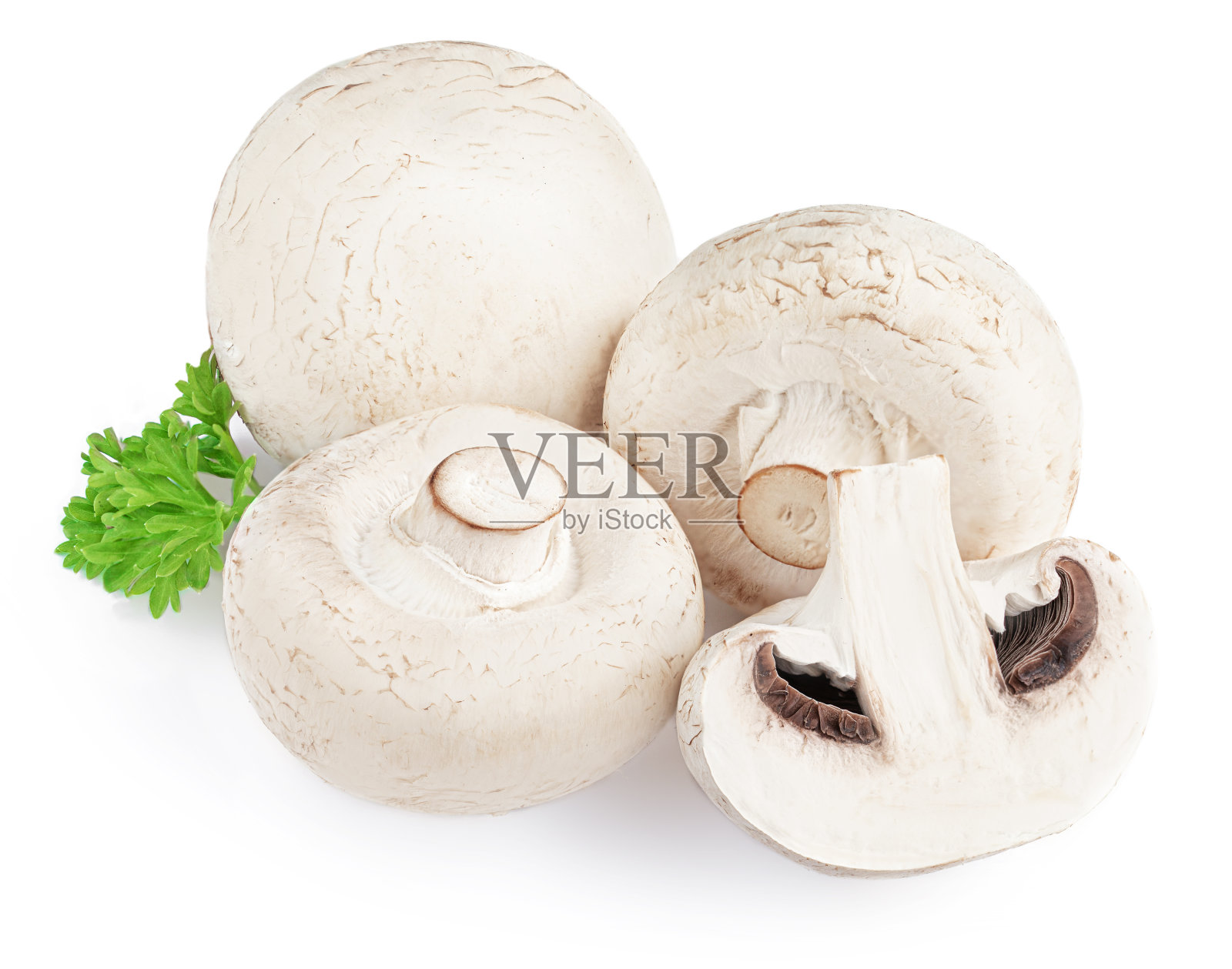 白色背景上分离的新鲜香槟酒蘑菇。整片香槟酒加欧芹叶照片摄影图片