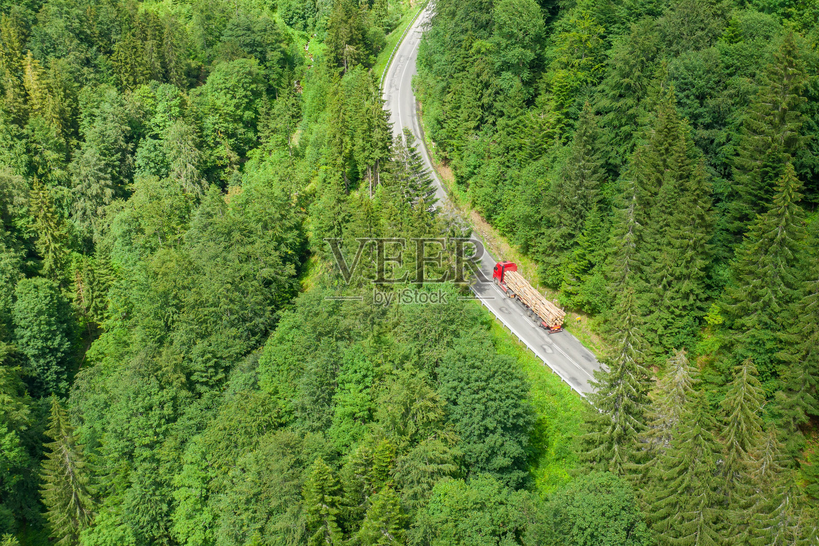 鸟瞰森林中蜿蜒的道路照片摄影图片
