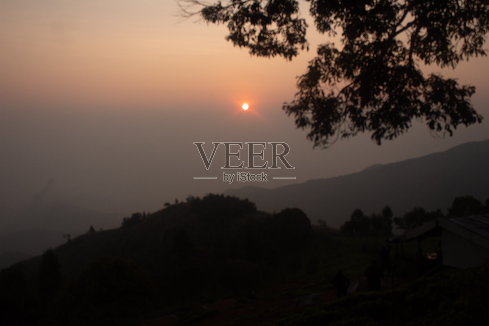 日出后的大山,清晨在科达纳德茶园与树木照片摄影图片