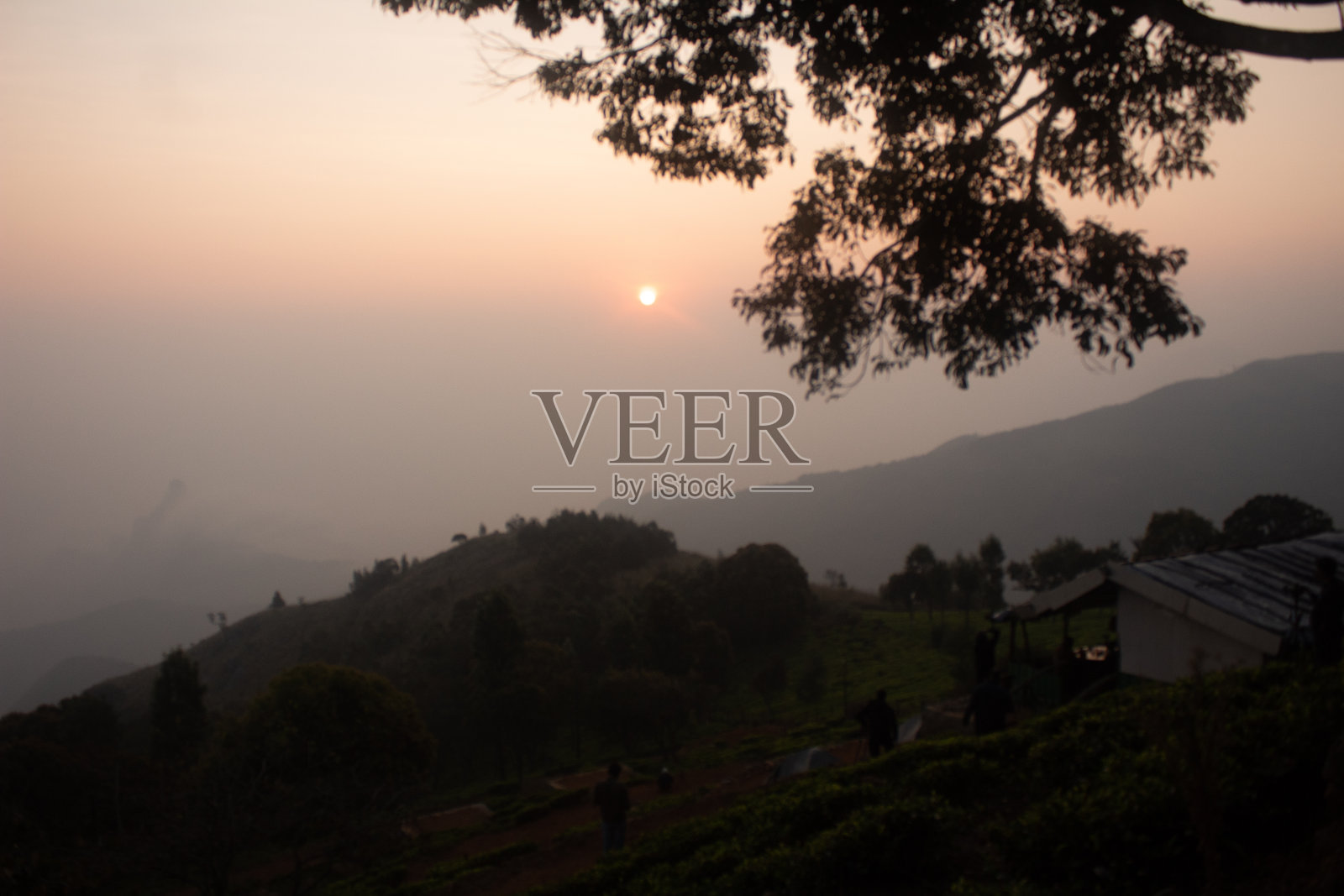 日出后的大山,清晨在科达纳德茶园与树木照片摄影图片