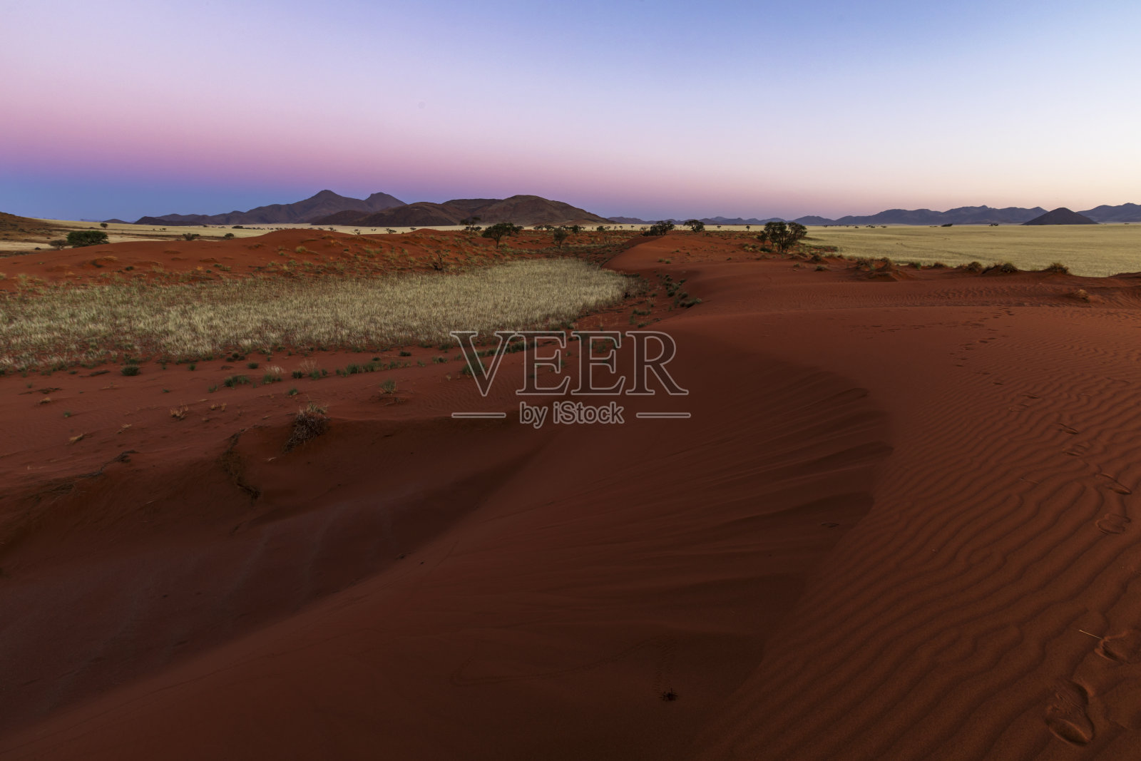 红色的沙丘,日落后的蓝色和粉红色的天空,纳米布沙漠照片摄影图片